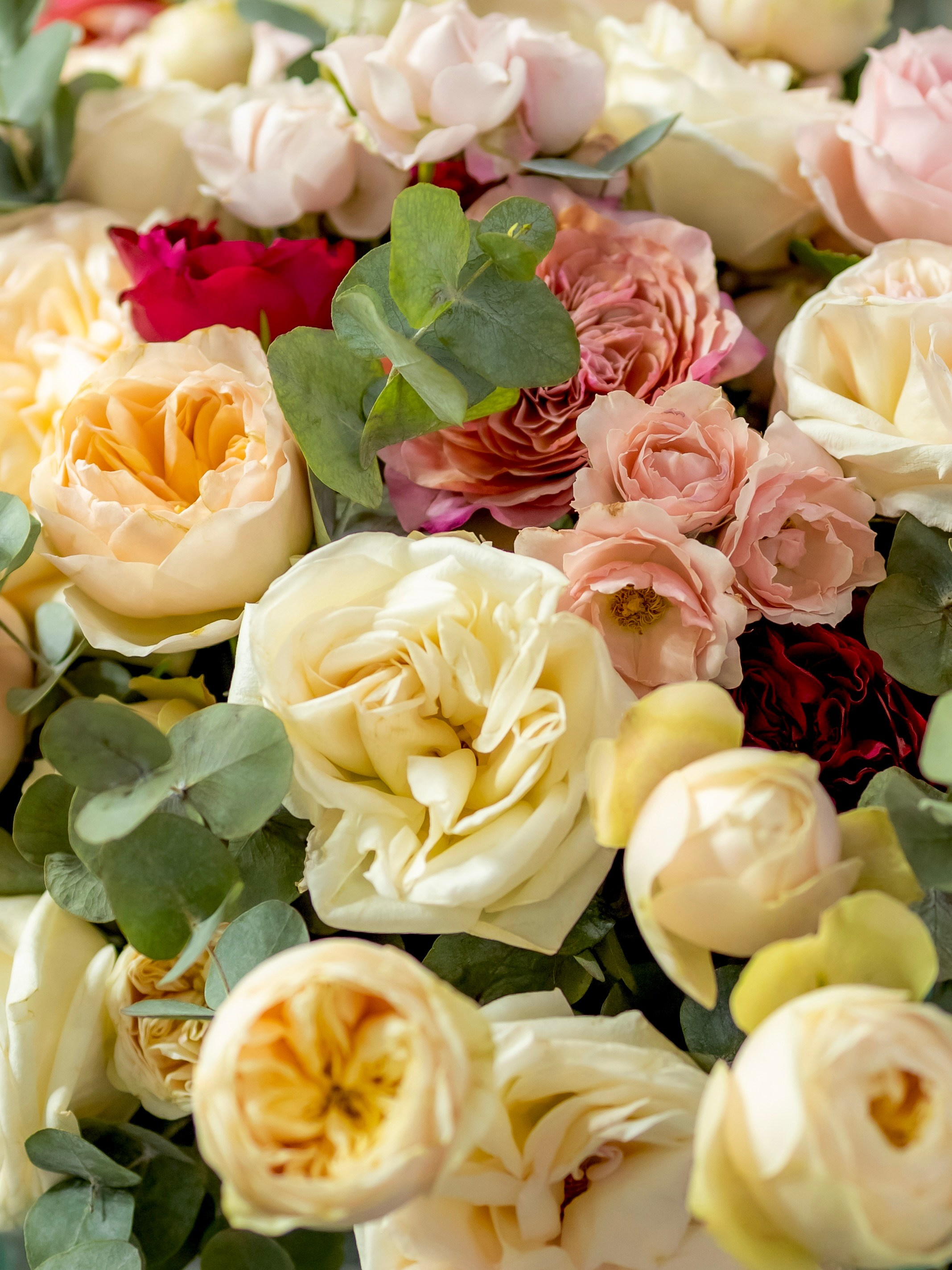 Цветы-Экспо 2024. Фотосессии и репортаж — Фотограф в Москве — Рина Серёгина