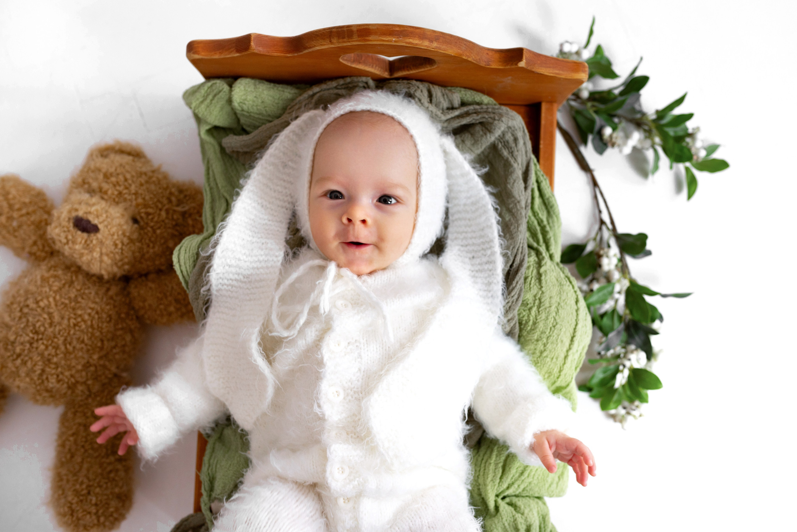 Лев (3 месяца)