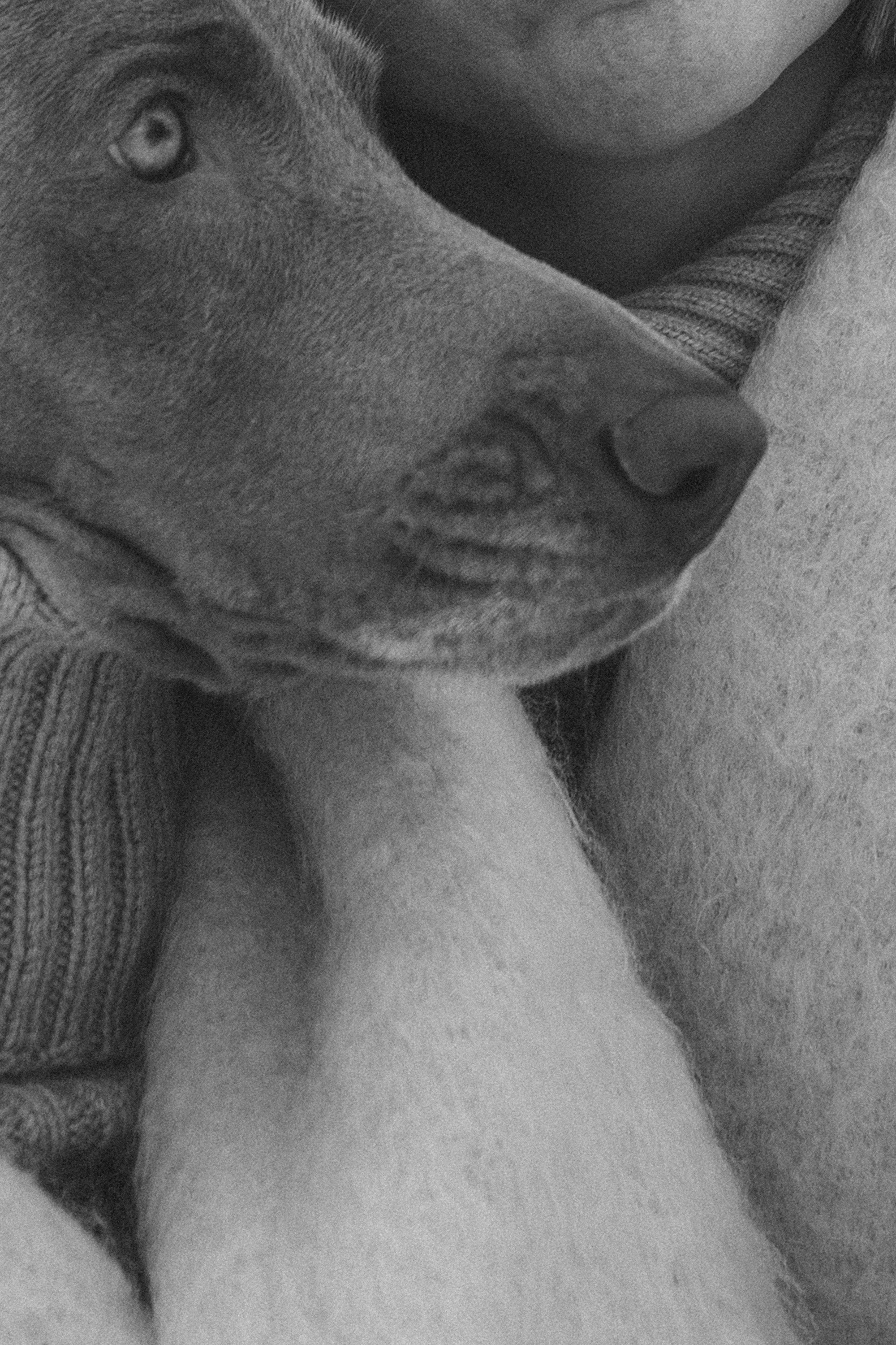 Лена и Фанни. Фотограф анималист в Москве и Санкт-Петербурге Свиридова Анна