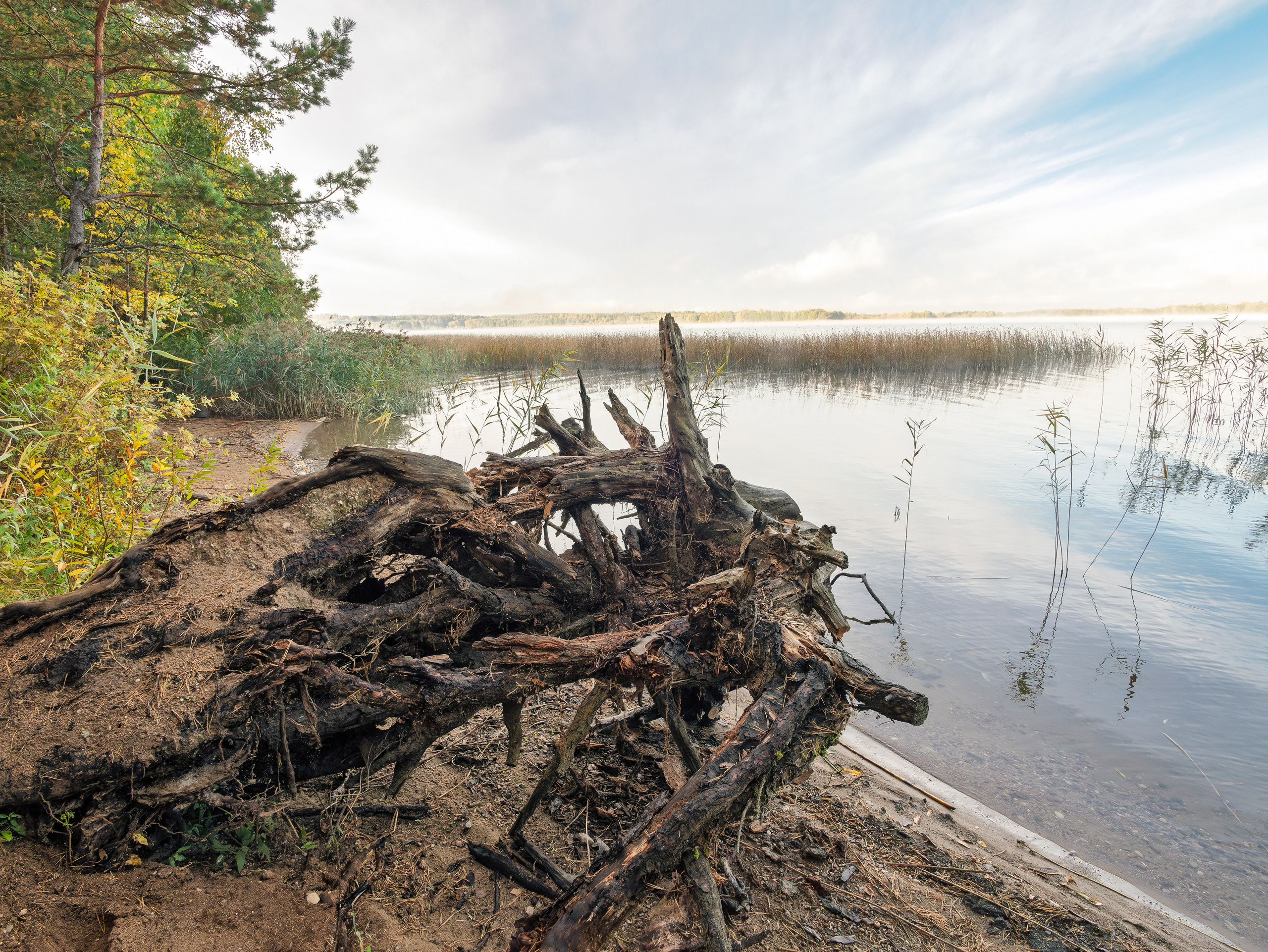 Голубые озера, Псковская область. Октябрь 2024. Фотограф Никифоров-Гордеев Сергей. Москва и МО