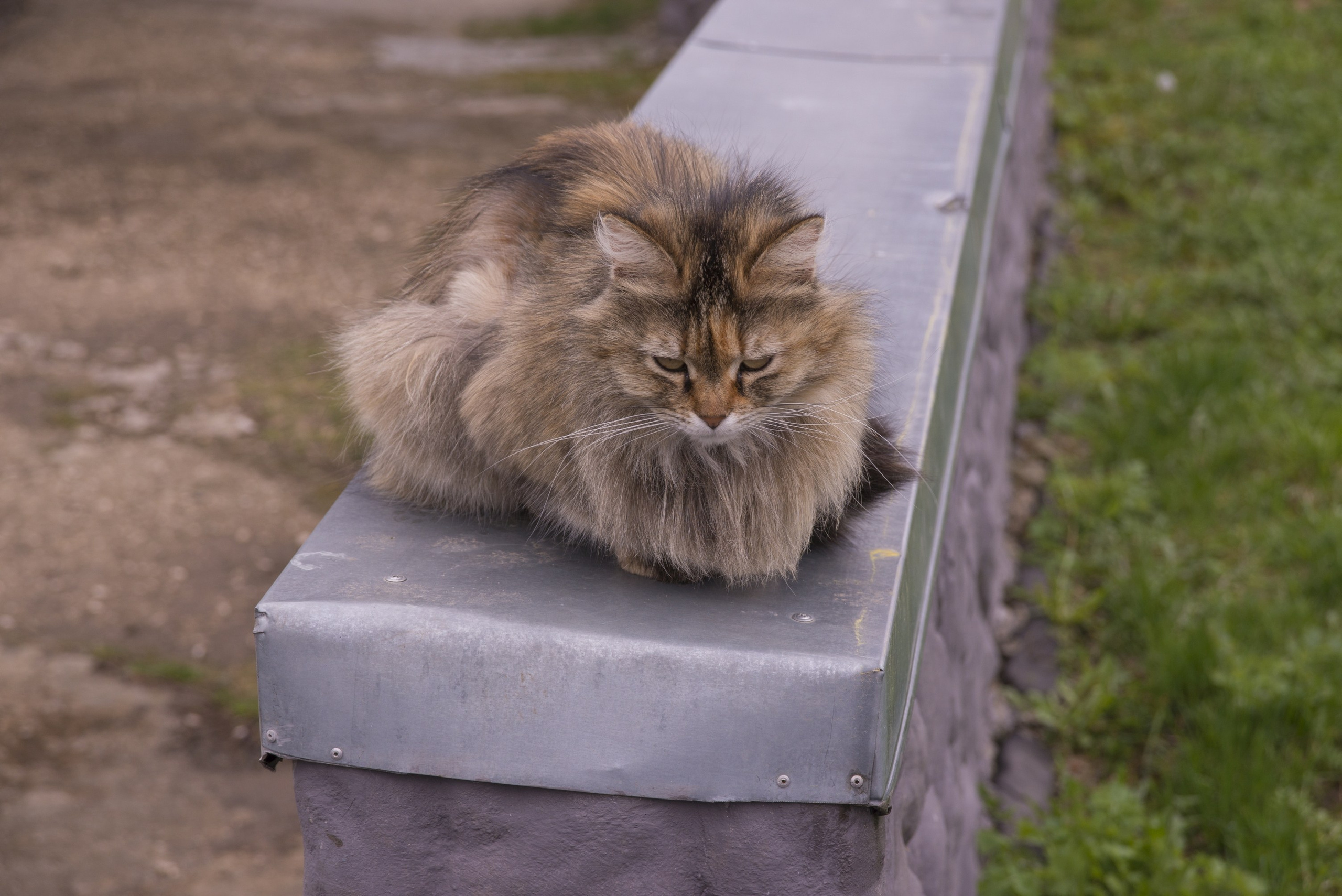 Суздаль. Май 2022. Игорь Жучков. Россия увиденная глазами путешествующего фотографа