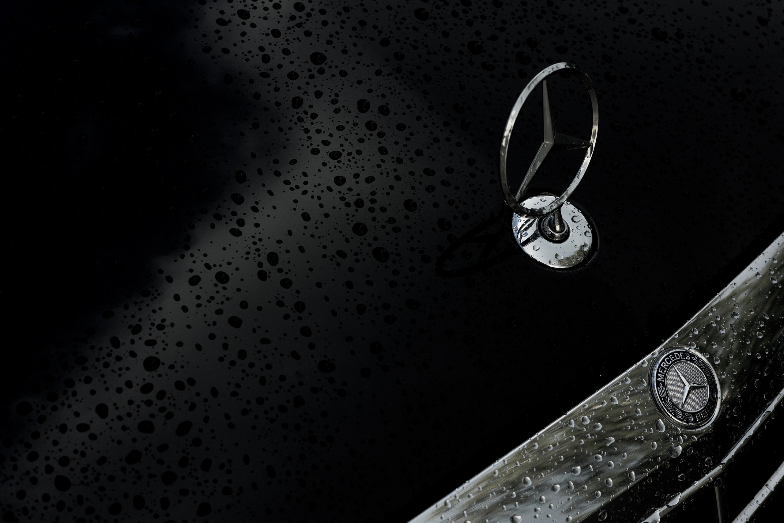 Stepan & Anna 16/07/2022. Свадебный фотограф Екатерина Худякова — Ярославль, Санкт-Петербург, Москва