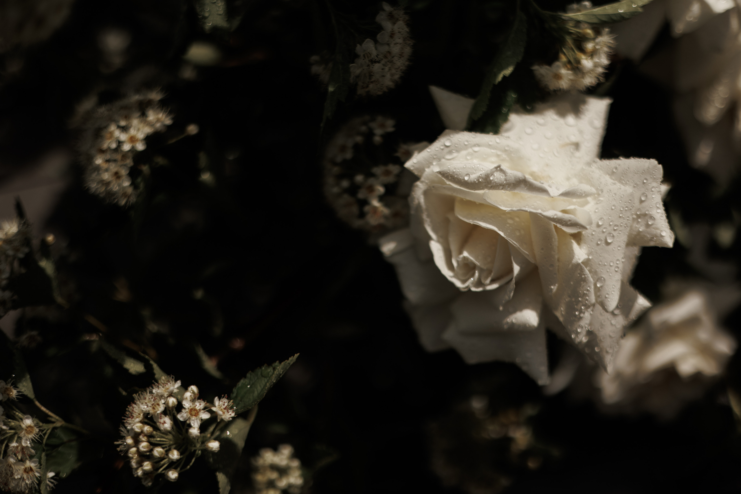 Seneshal 16/06/2022. Свадебный фотограф Екатерина Худякова — Ярославль, Санкт-Петербург, Москва