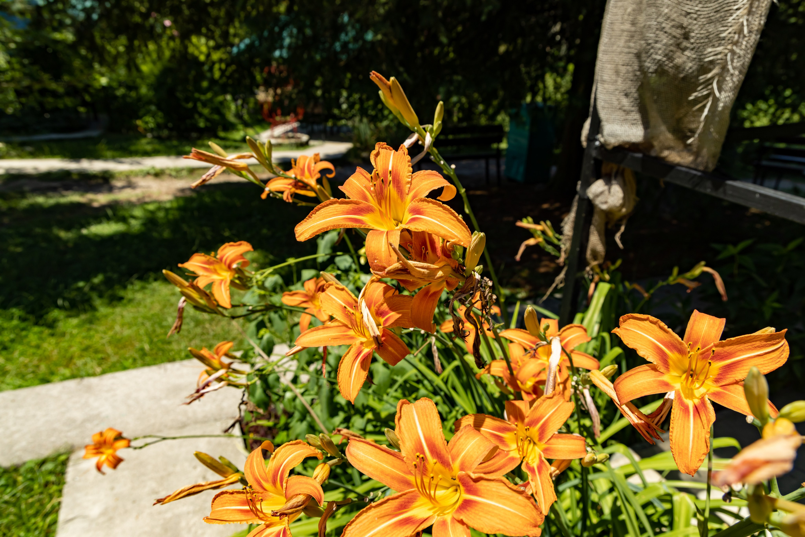 Сочи. Солох Аул. Репортажный, семейный и студийный фотограф в Москве Демин Алексей