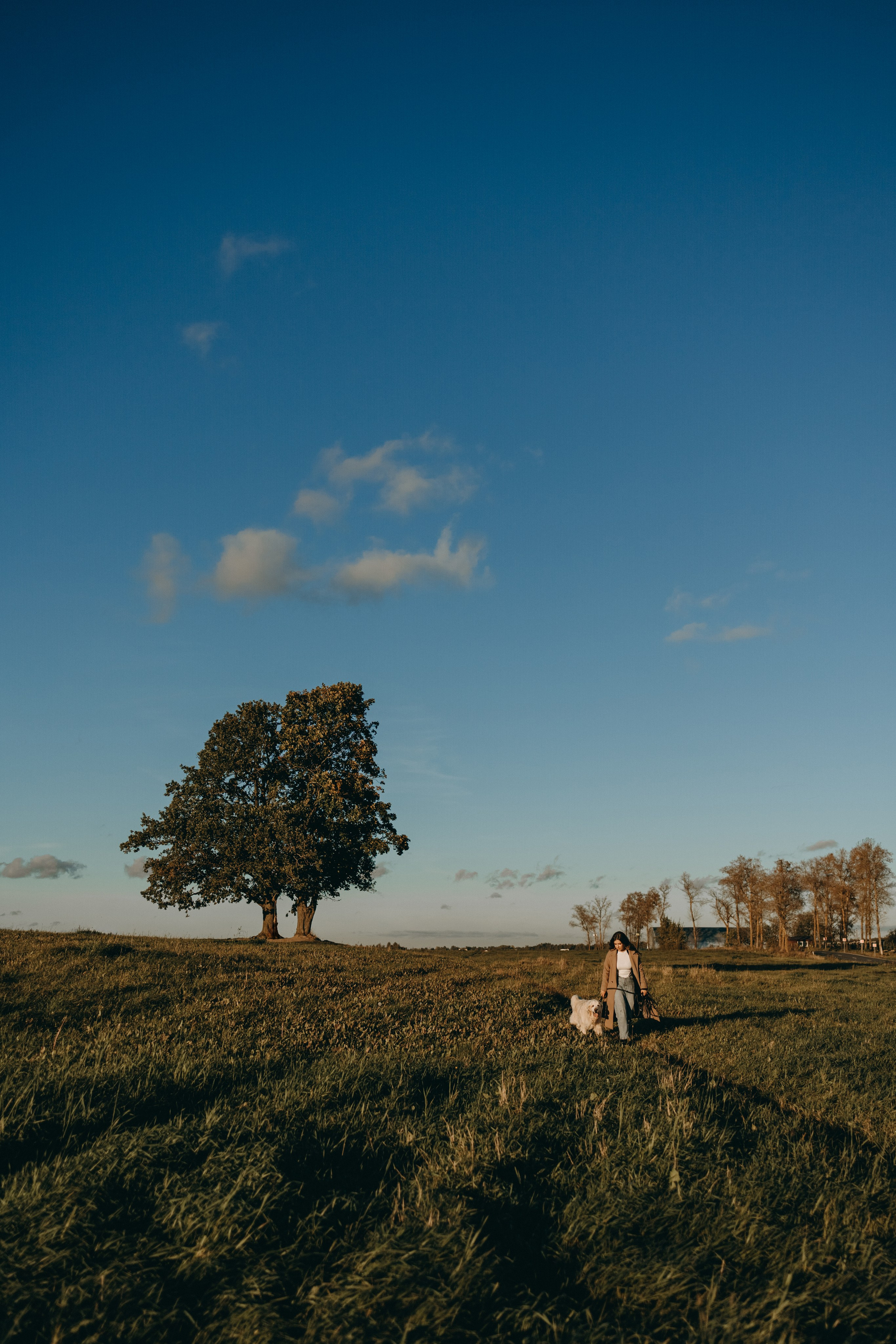Лера и Скай. Фотограф — Анималист | Санкт-Петербург