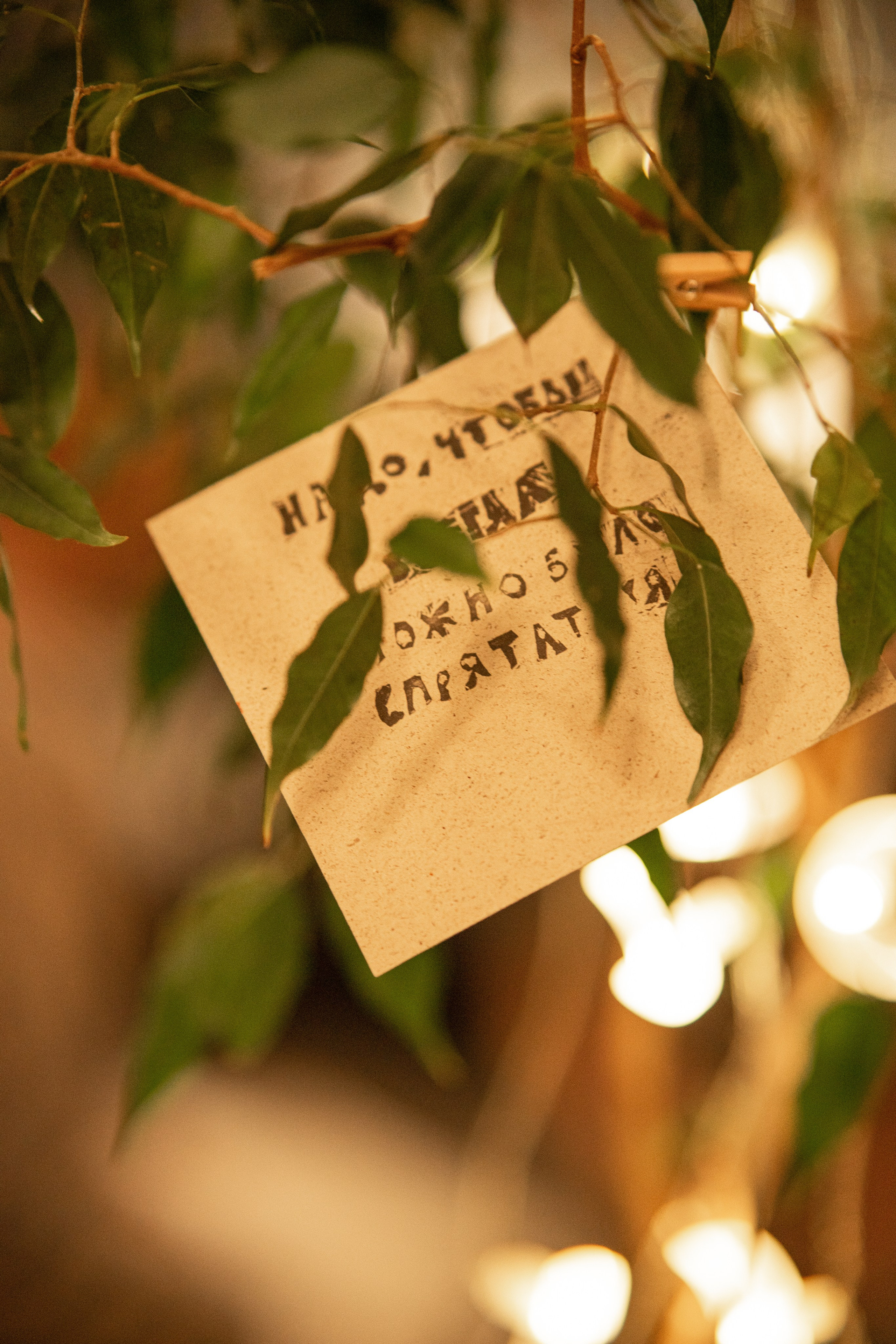 Dance. Фотограф Софья Горбунова