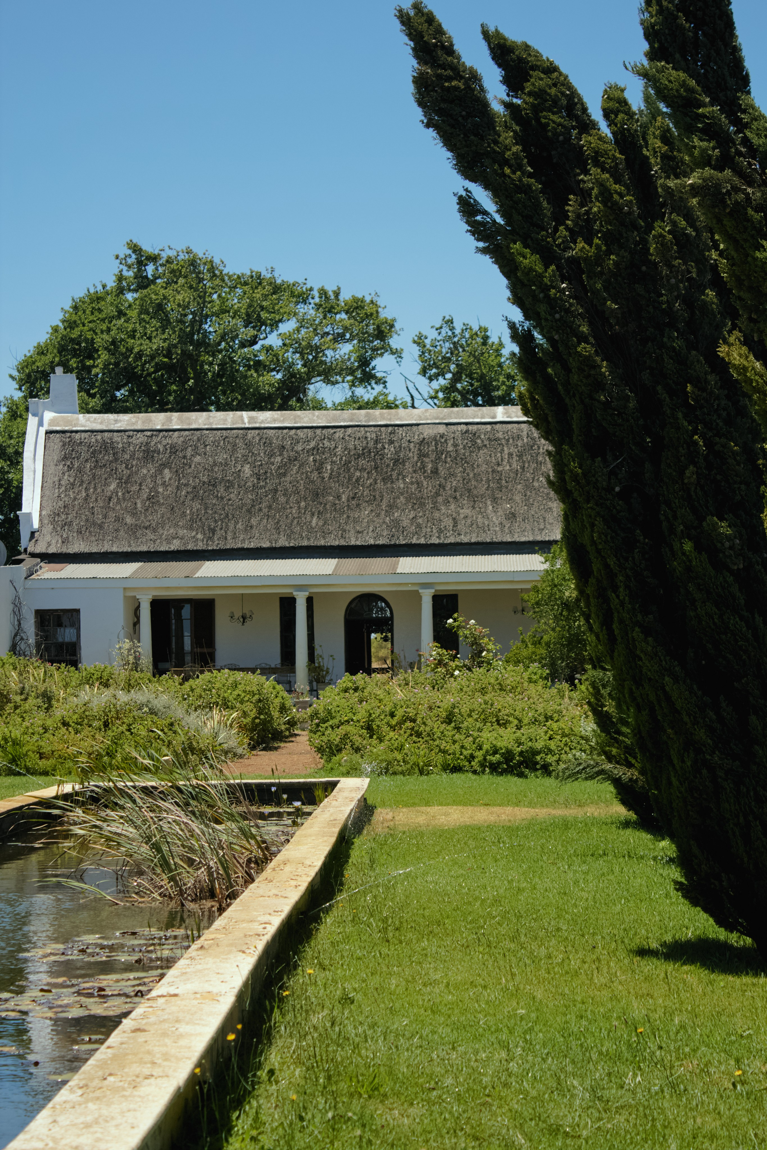 ЮАР. Профессиональный Фотограф во Владимире, в Москве и в Суздале — Полина Романычева