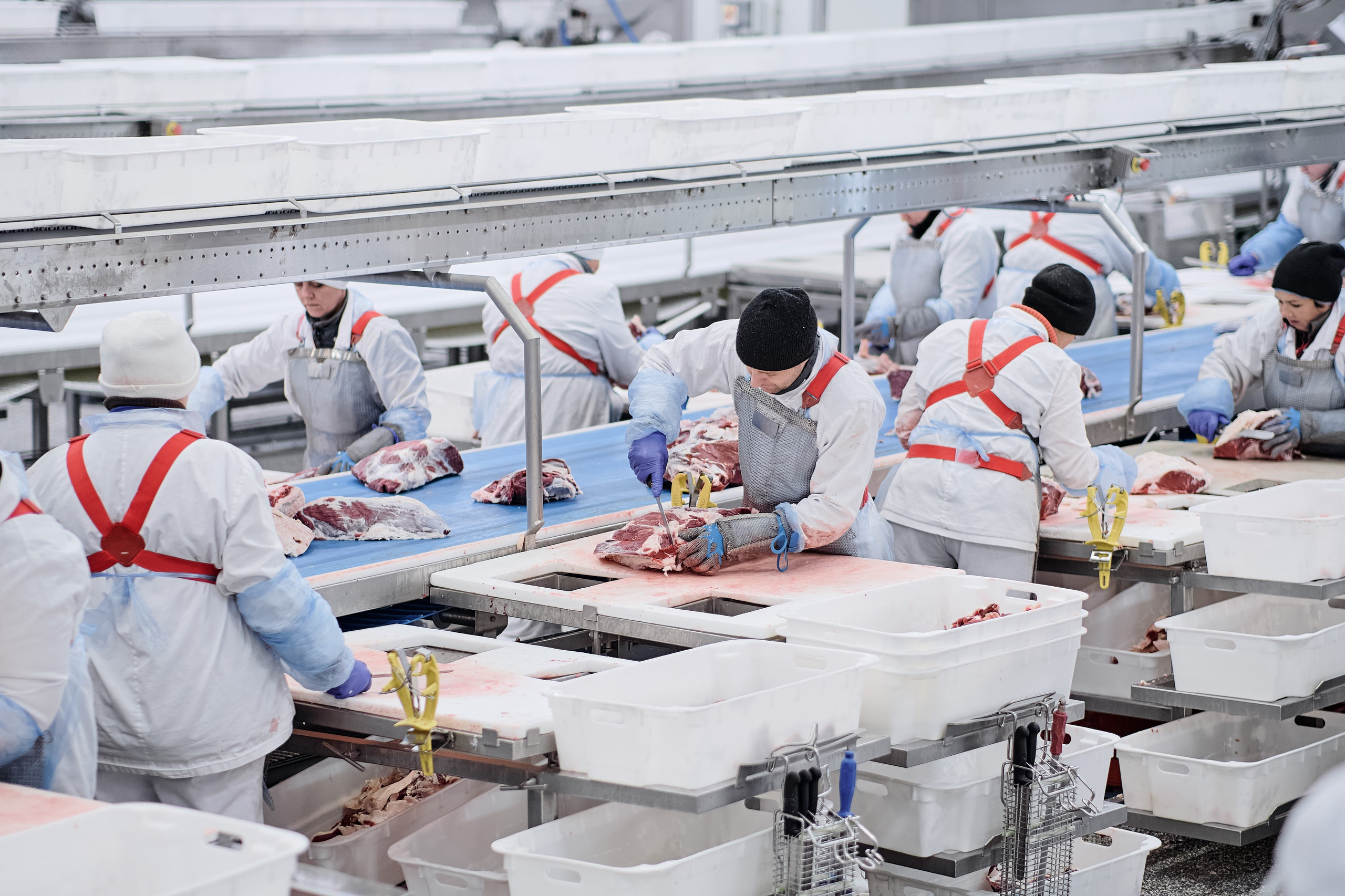 Фотограф на мероприятие. Light Media — креативный видеопродакшн