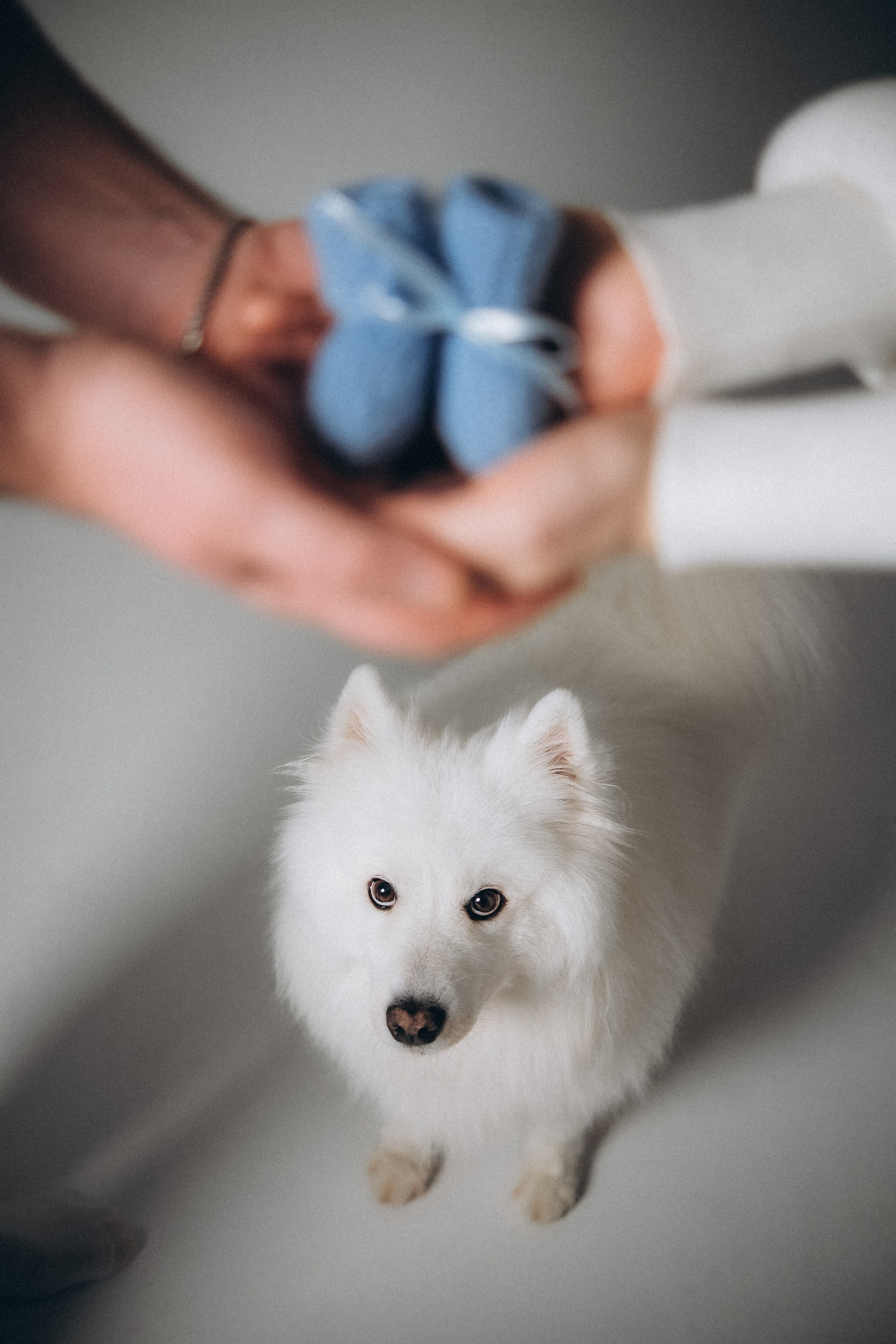 Катя & Андрей. Phdkvmr.ru