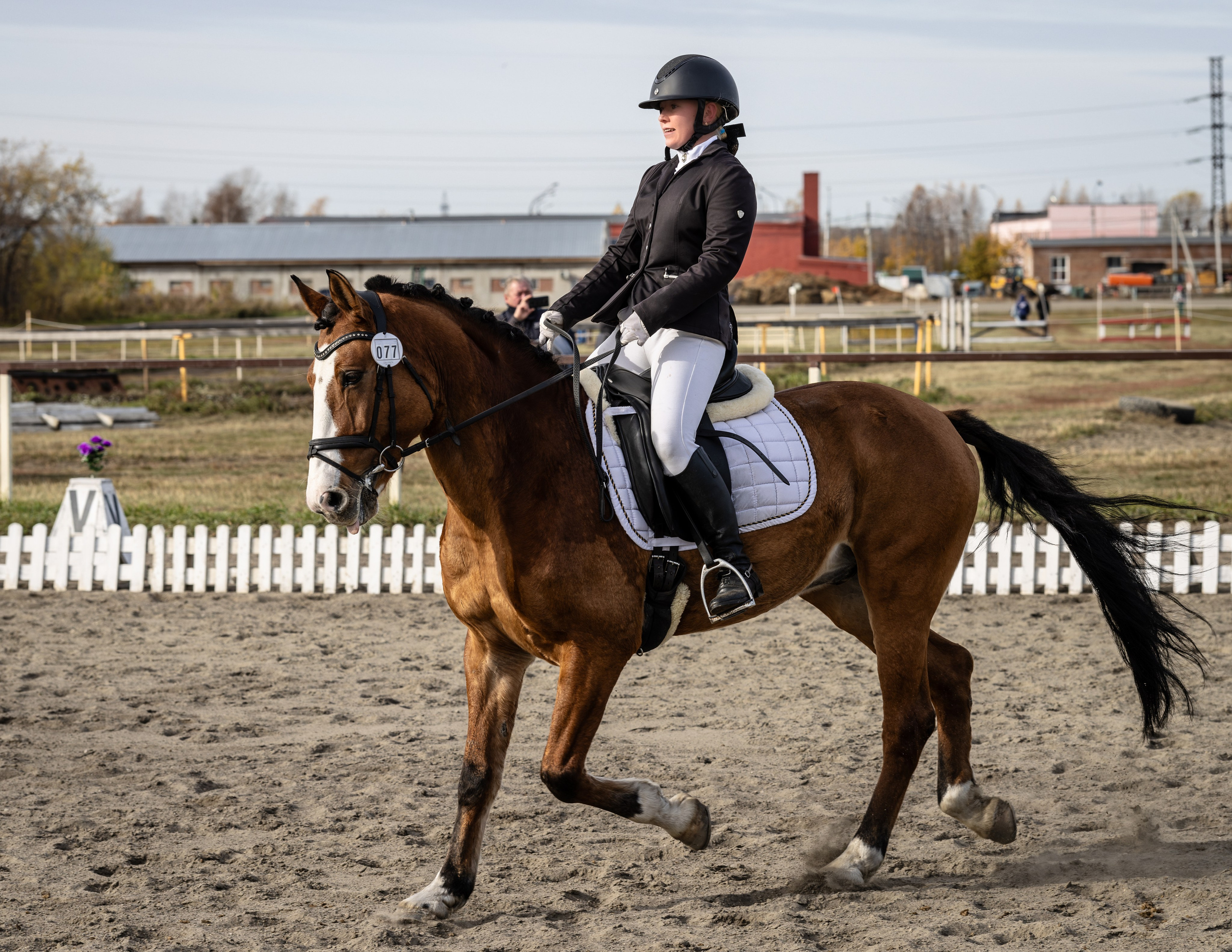 Конкур. Bertran Ordo