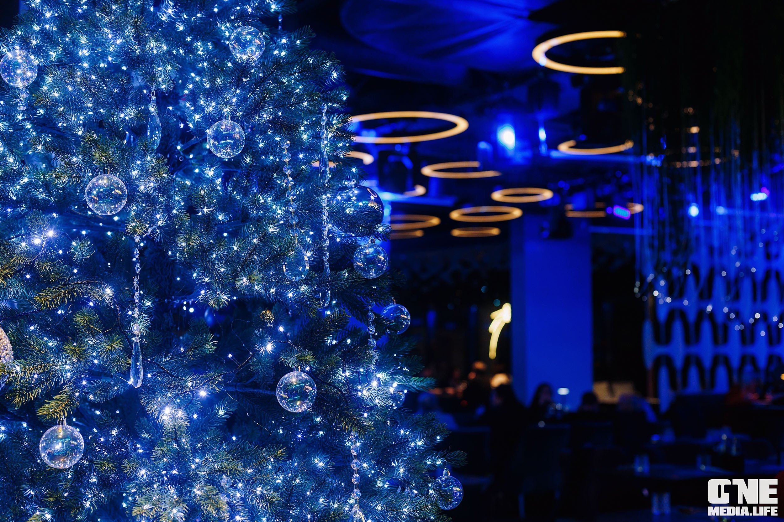 Фоторепортаж из ресторана Океан. One Media Life: фоторепортажи, фотоотчеты с мероприятий и заведений