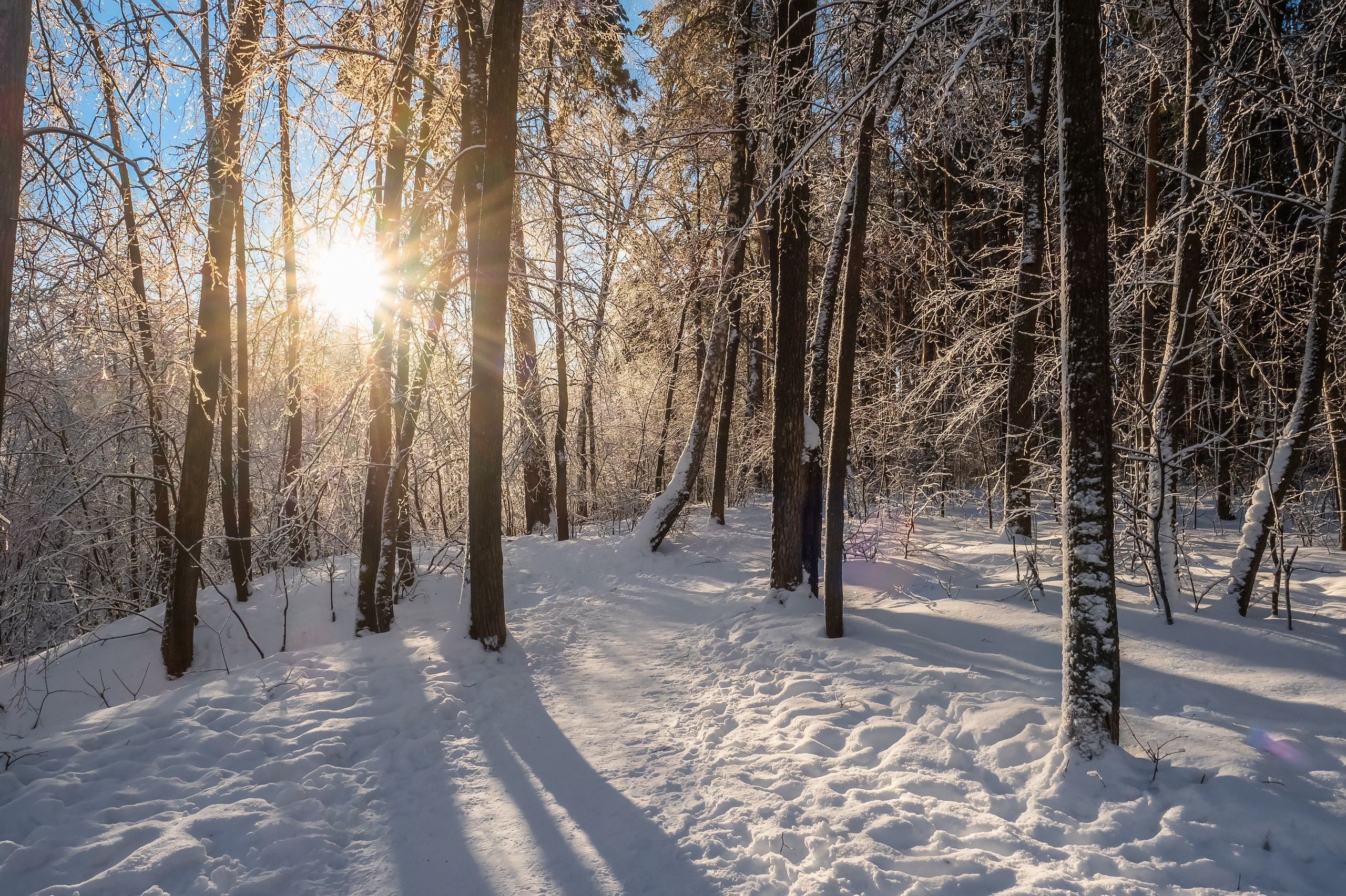 Красота Заречного. Репортажный, семейный и детский фотограф в Пензе и Заречном Арина Ермилова. Картины барельеф на заказ