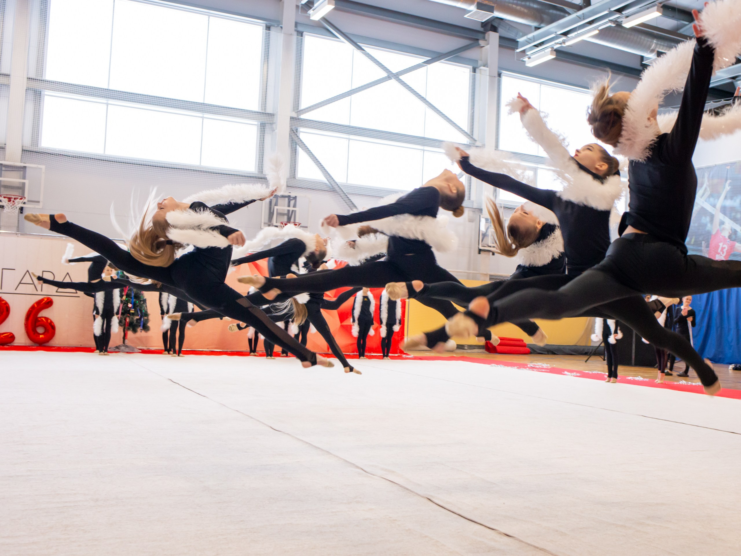 Репортаж с соревнований по эстетической гимнастике. Фотограф Анастасия Мухитдинова