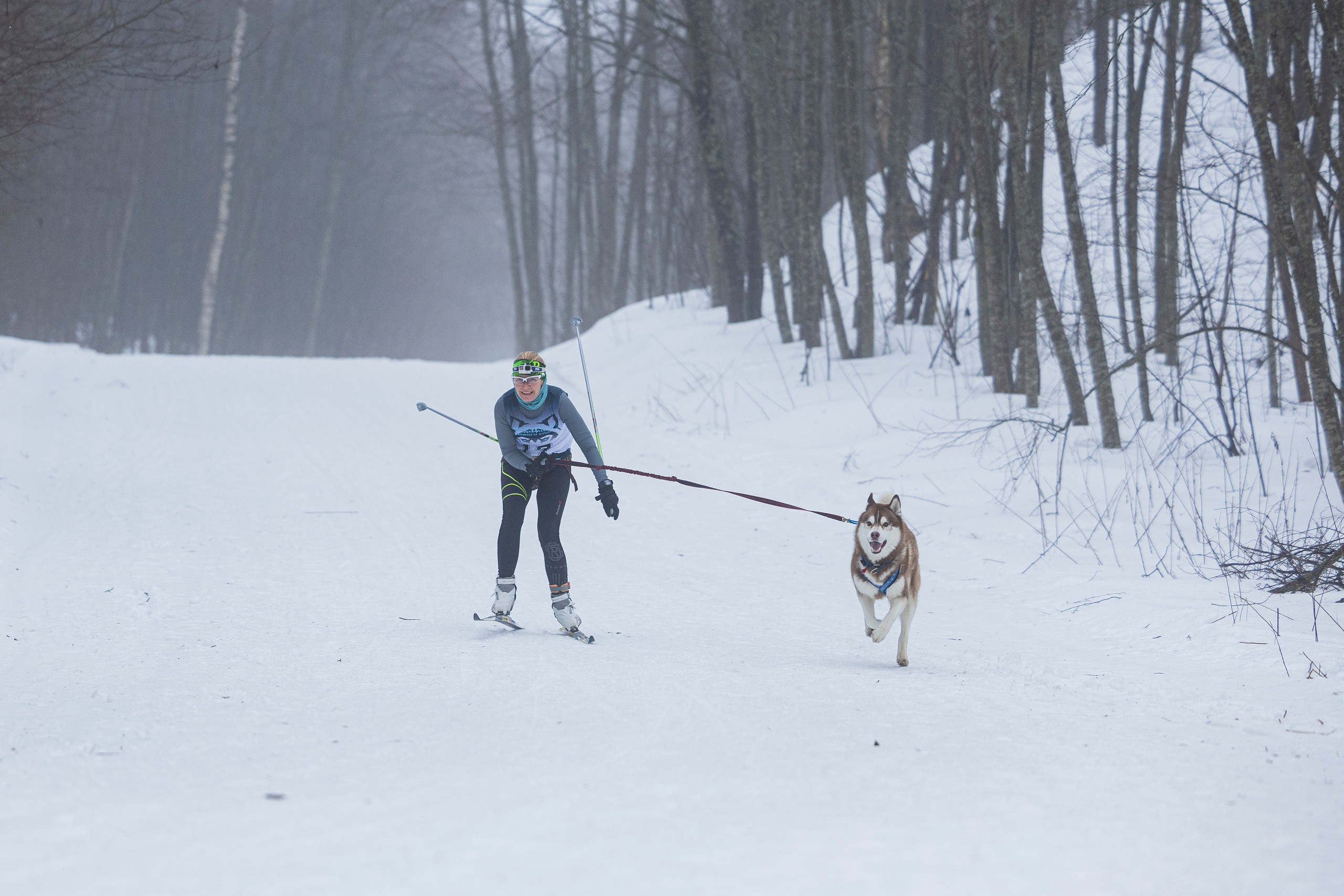 Зимний Чемпионат Санкт-Петербурга по ездовому спорту. Фотограф-анималист Анна Маринич