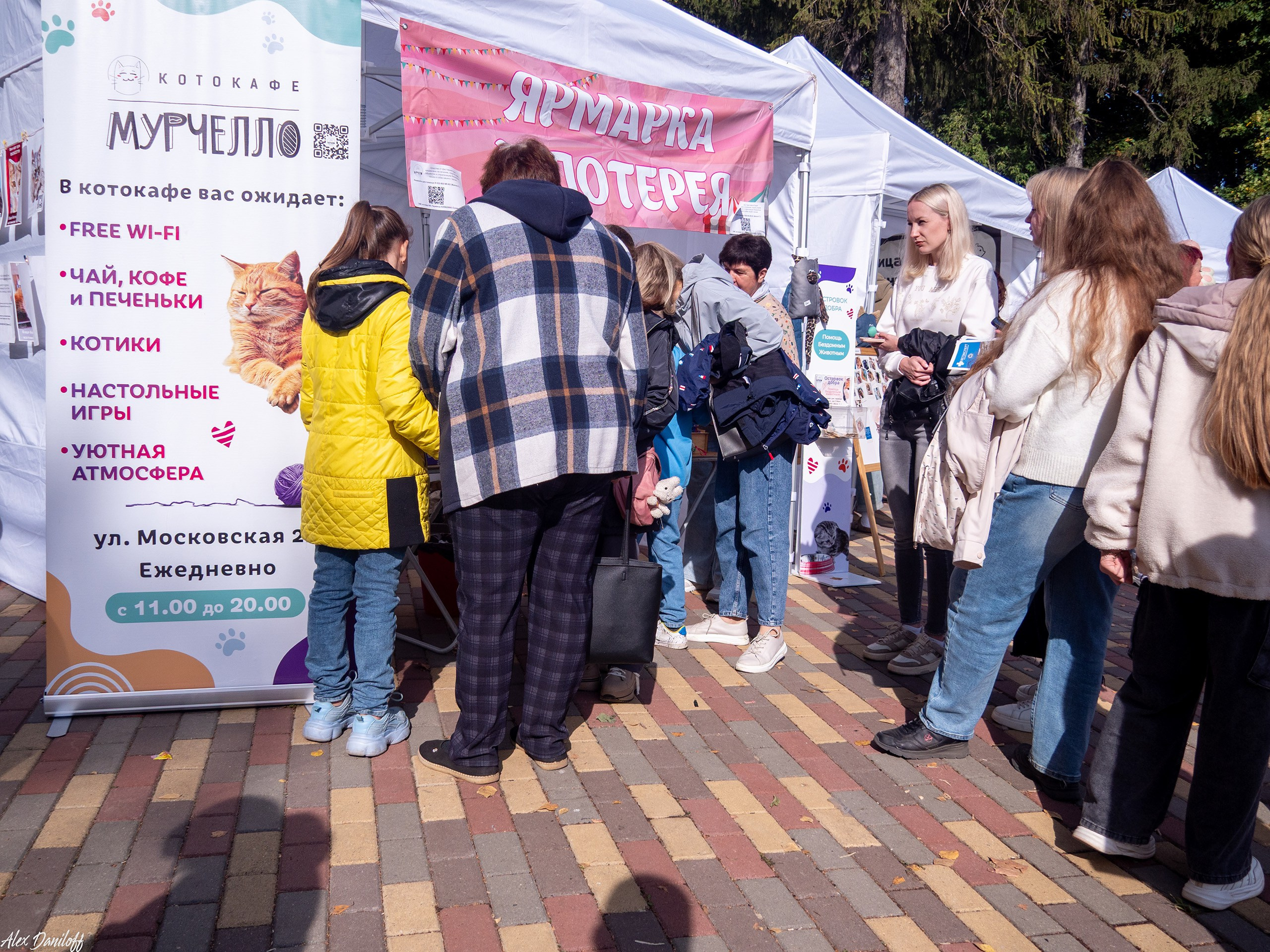 Обнимака 2025. Муром-Инфо. Новости культуры, образования, спорта в городе Муром