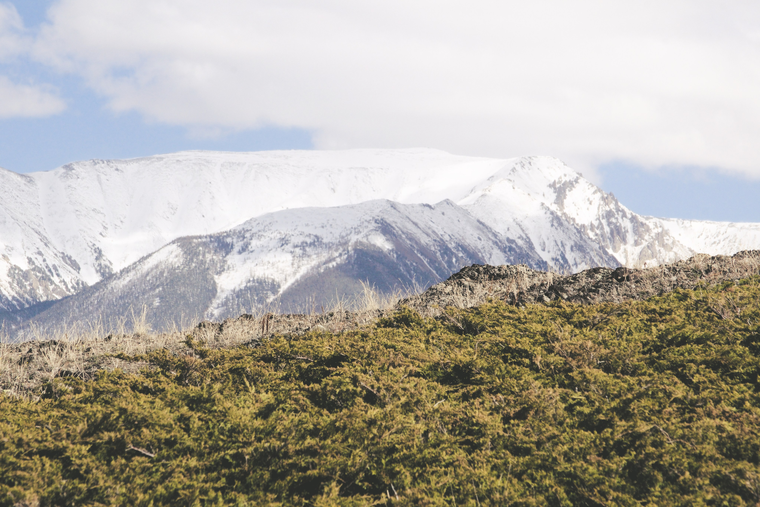 Джангысколь. Фотограф анималист, пейзажист, спортивные мероприятия. Новосибирск