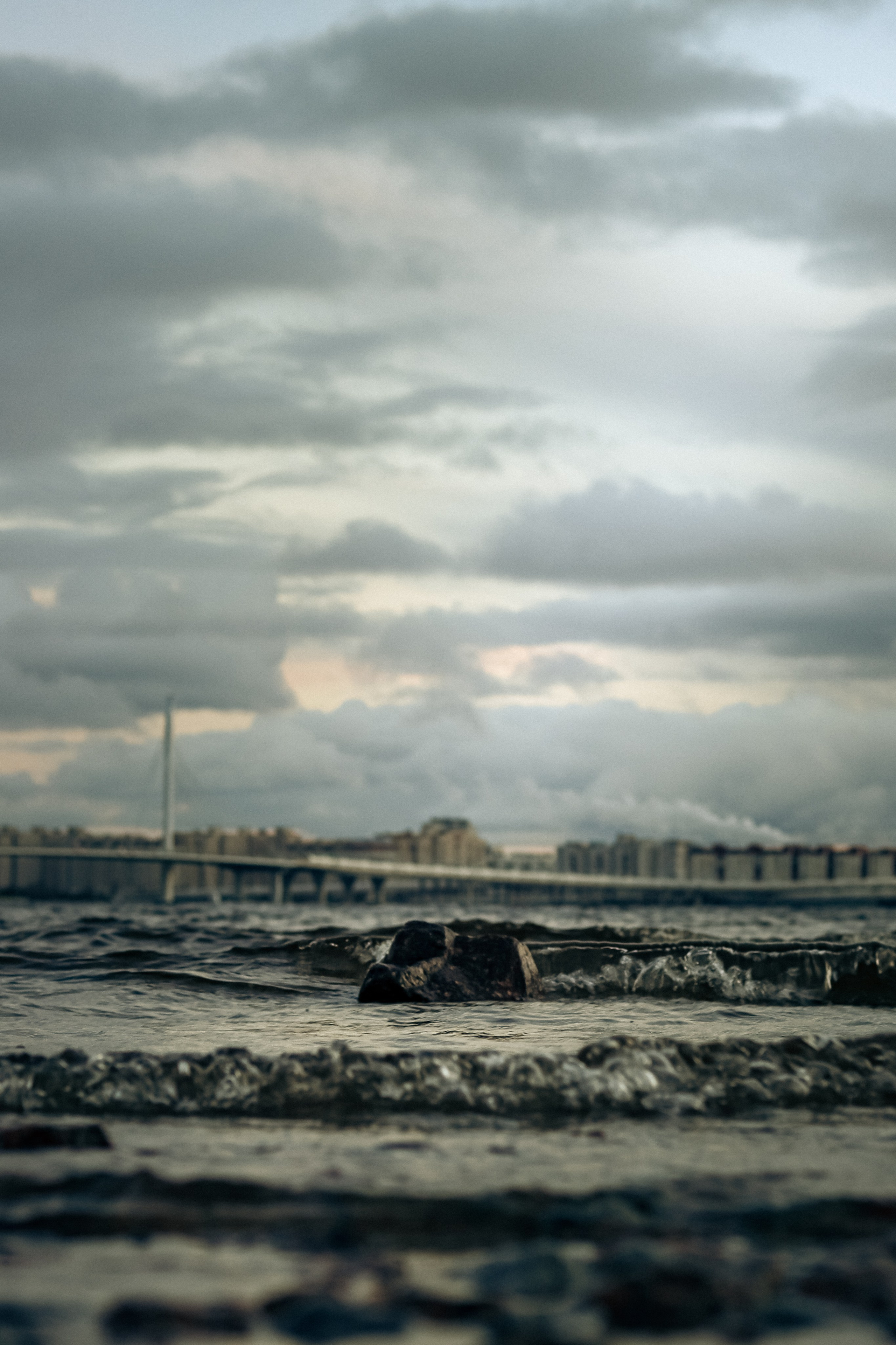 Берег Финского залива. Фотограф | Данил Шукан | Санкт-Петербург