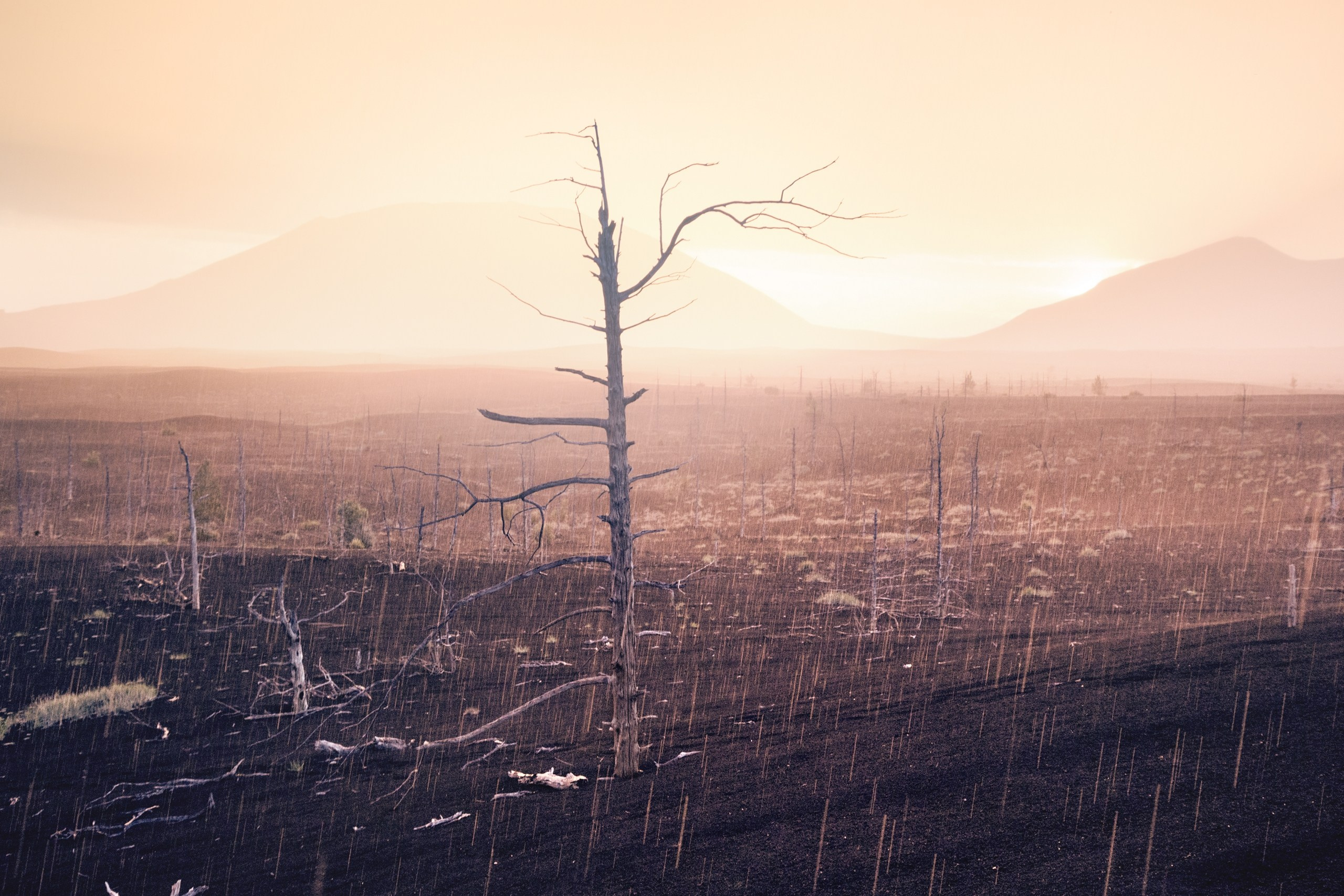 Камчатка. Фотограф Владимир Медведев