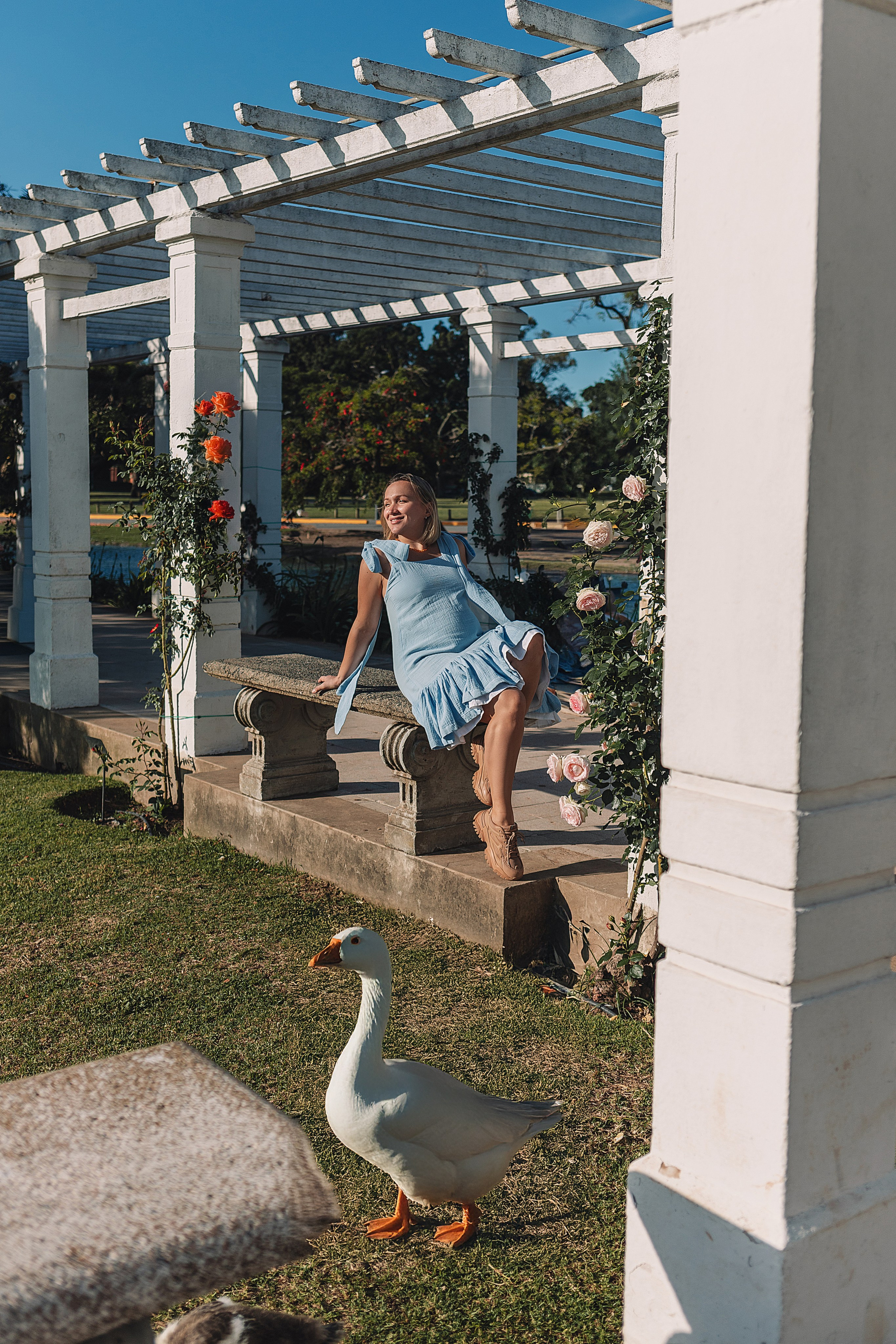 Esperando un milagro. Fotógrafo en Buenos Aires