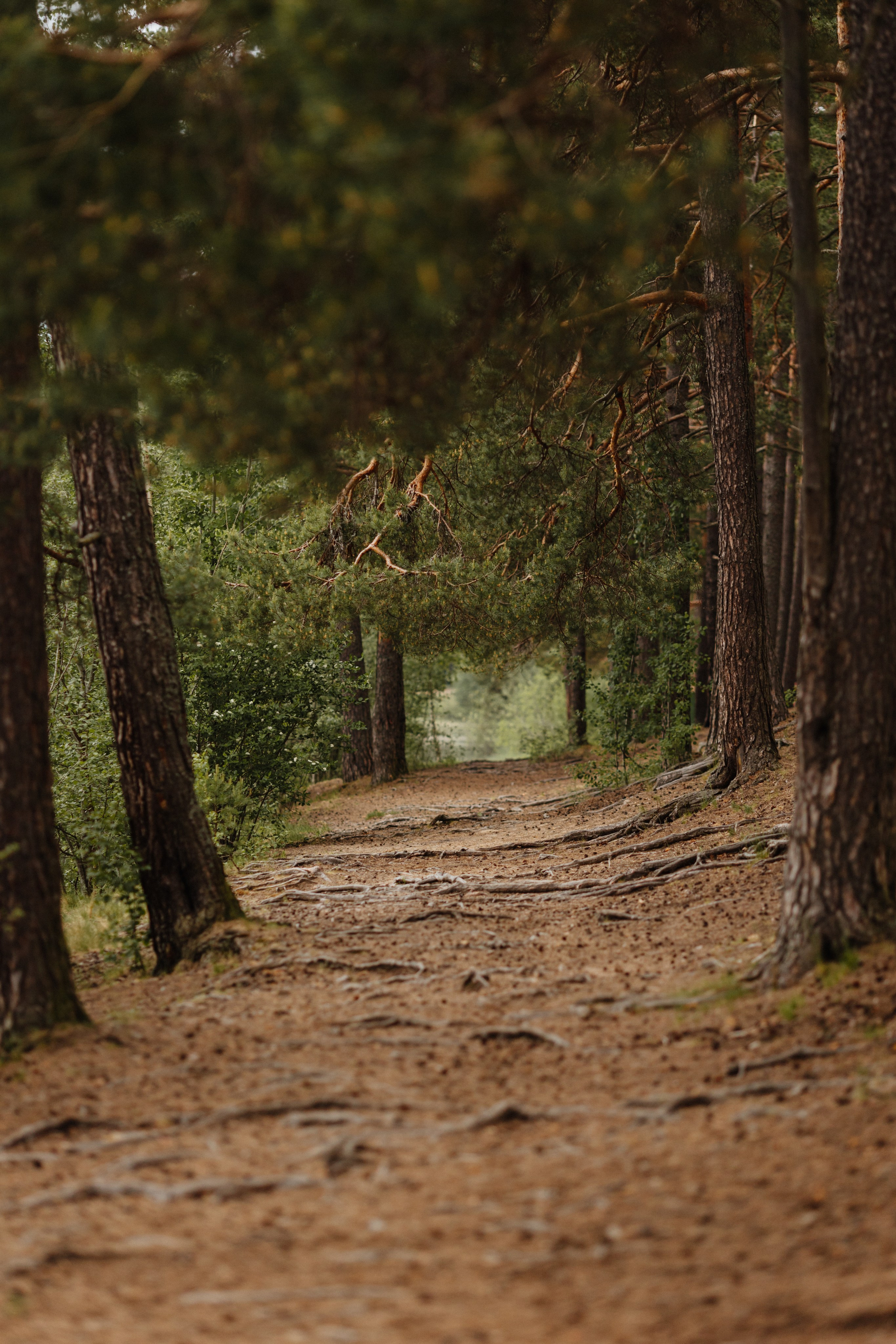 Фотосессия мама и сын. Фотограф Лодейное Поле Екатерина Герасимова в Санкт-Петербурге и Лен. области