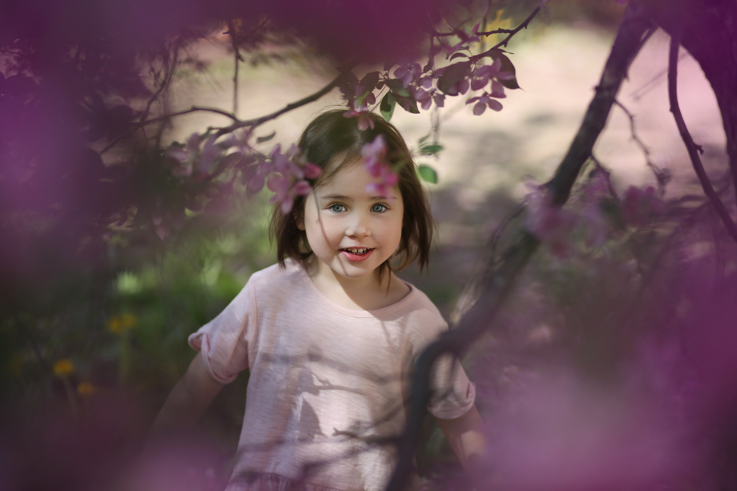 Фотопрогулка-яблони розовые. Семейный и детский фотограф в Москве и МО — Александра