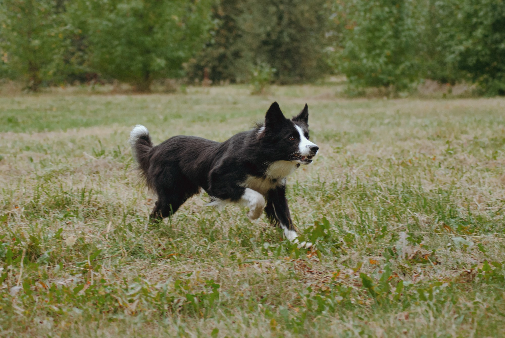 Макс. Фотограф в Тюмени Лизавета Сапицкая