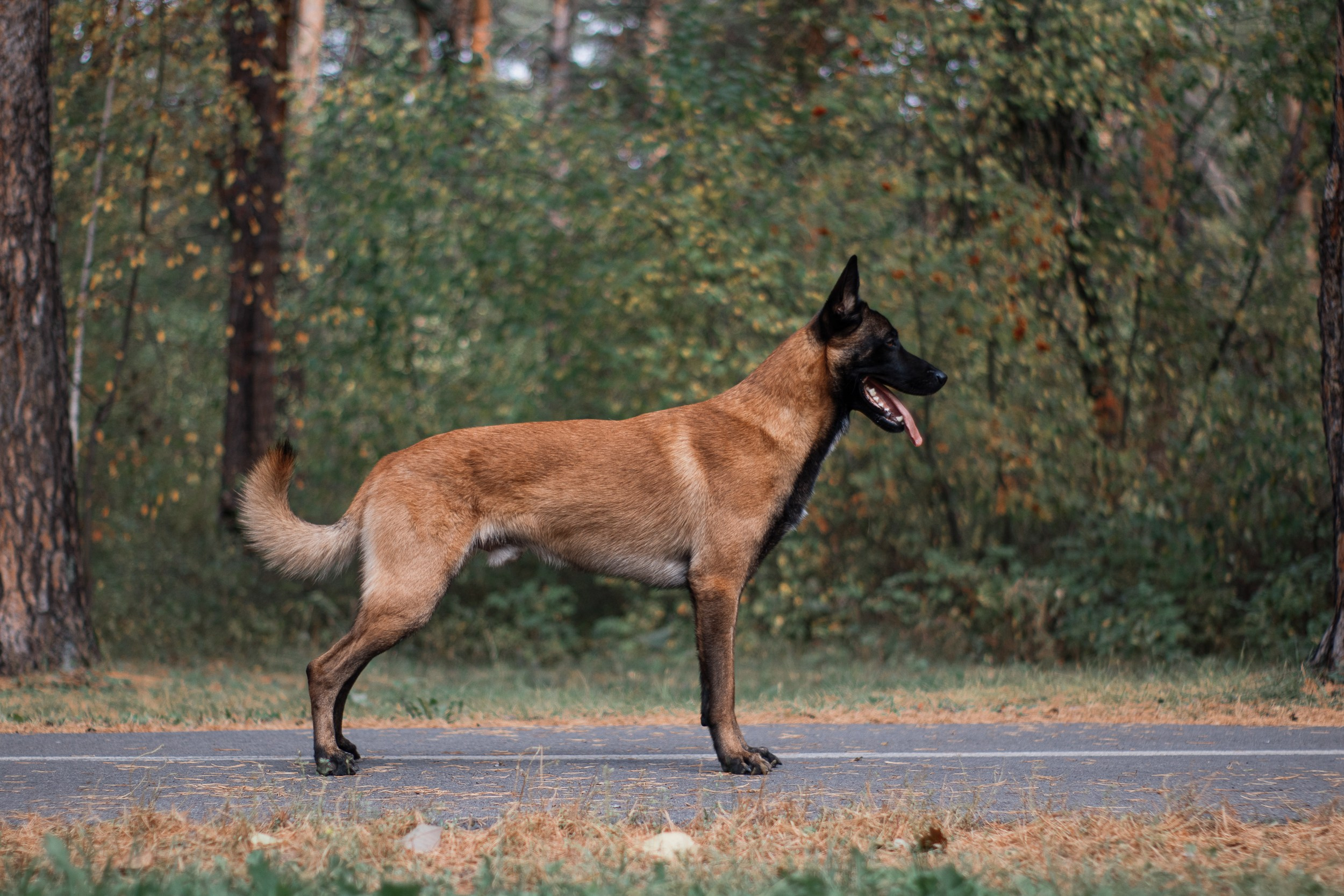 Женя и Берг. Фотограф в Тюмени Лизавета Сапицкая