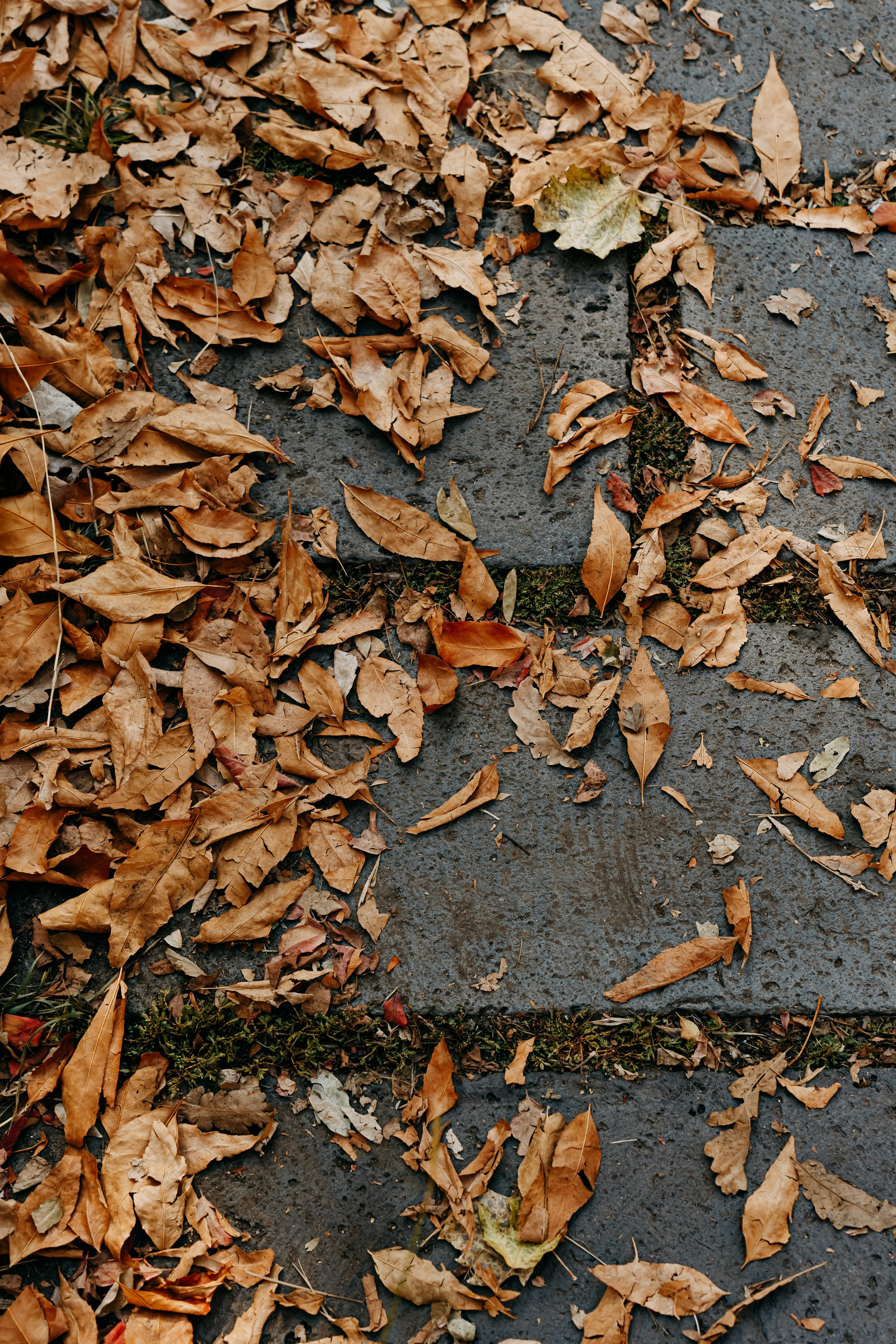 Армения. Фотосъемка, свадебная фотосъемка, Москва, Нижний Новгород