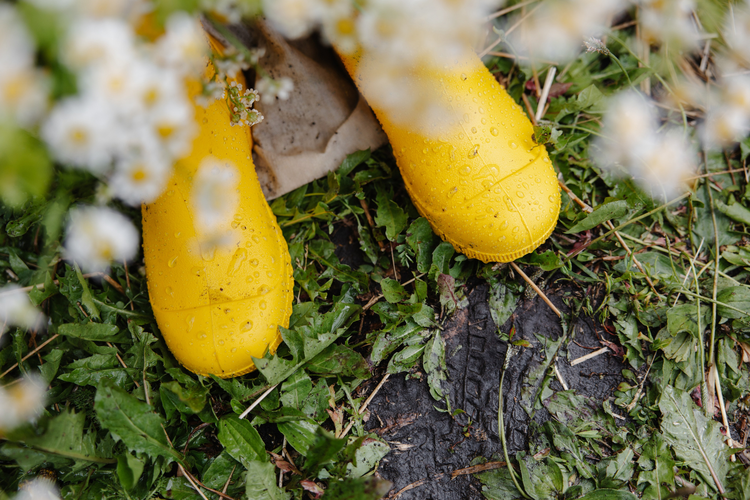 ГЕНДЕР ПАТИ. Фотограф в Красноярске