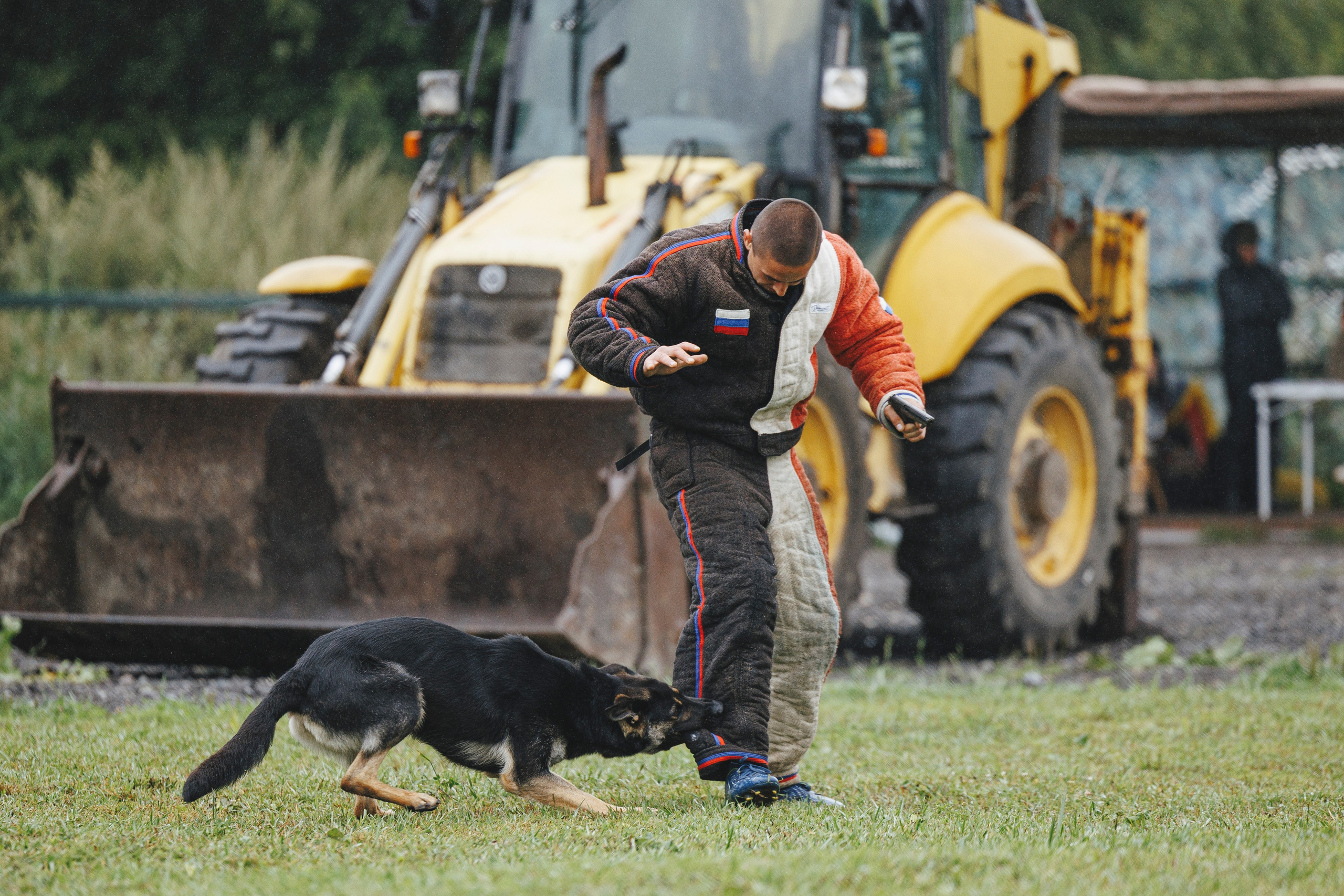 08.08.25-10.08.25 ЧР по мондьорингу г. Вологда. Фотограф-анималист Анна Маринич