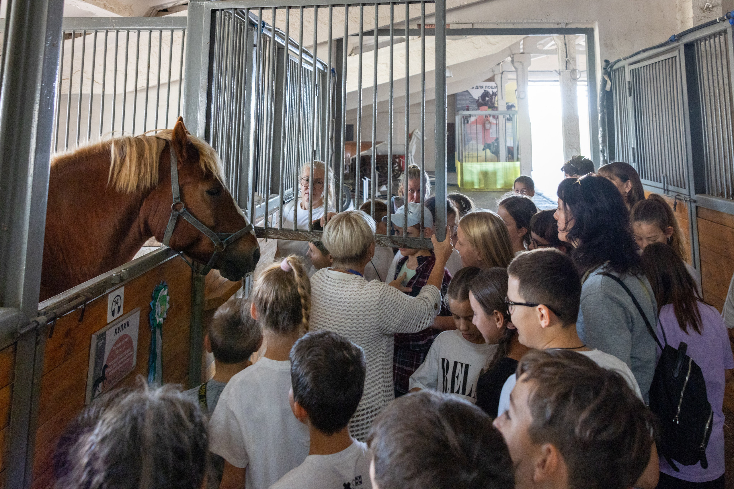 Поездка на поле Кулеково. Фотограф в Туле Крупский АнДРей. Фотостудия «КАДР71» в Туле
