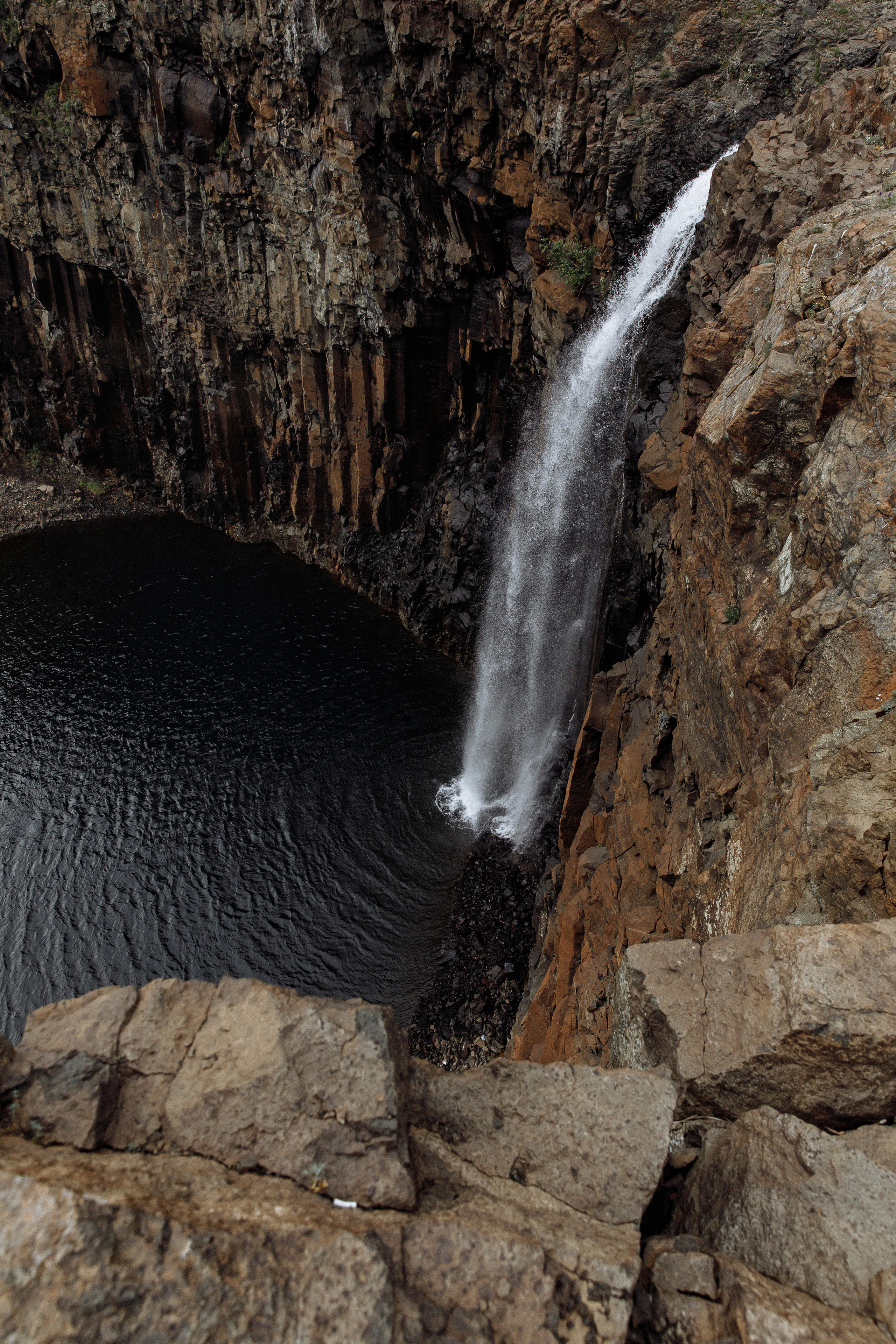 Вова и Лола 25.07. Фотограф Норильск, Москва