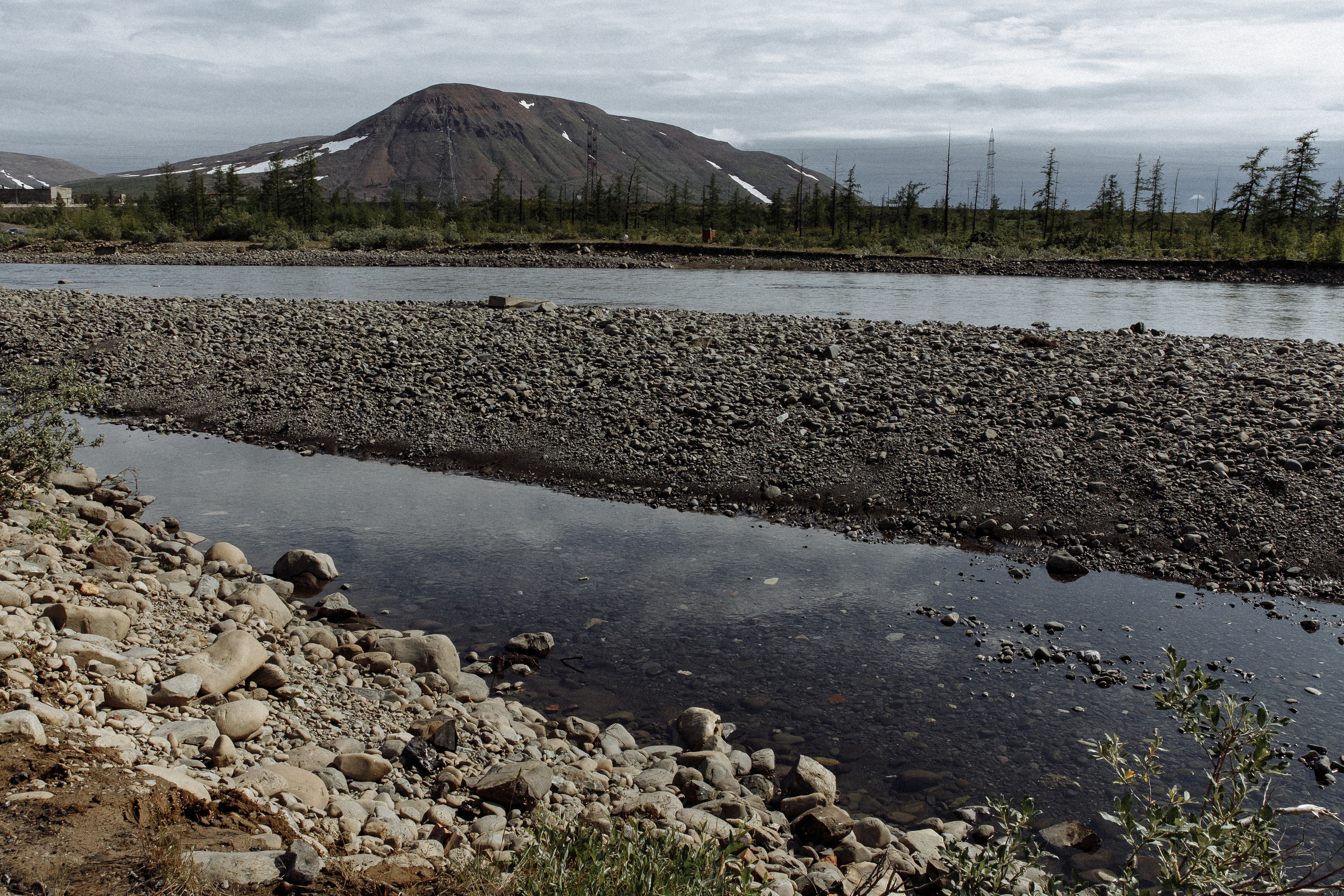 Вова и Лола 25.07. Фотограф Норильск, Москва