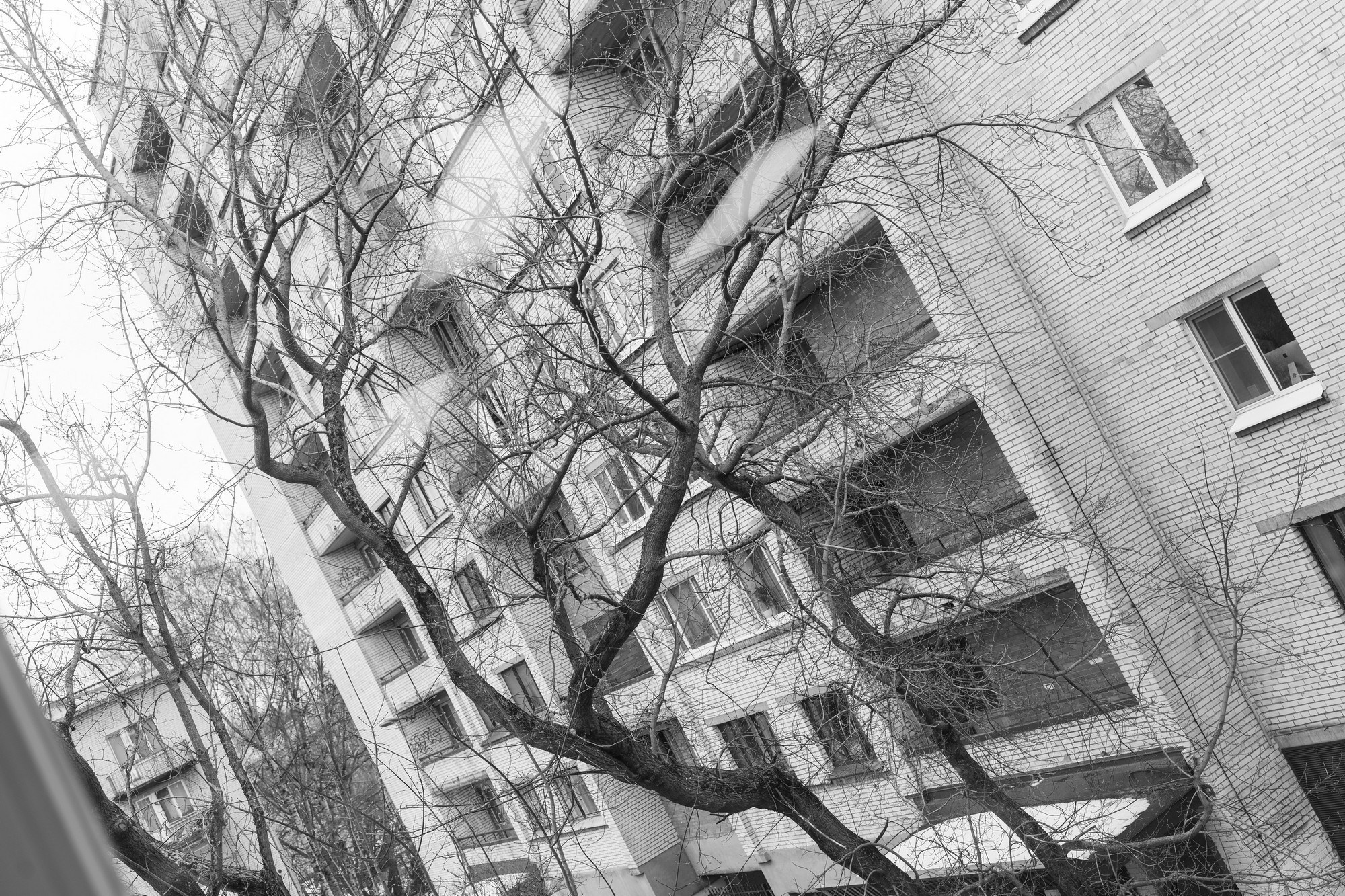 Инженерные кадры России. Репортажная съёмка в Санкт-Петербурге, Константин Петров