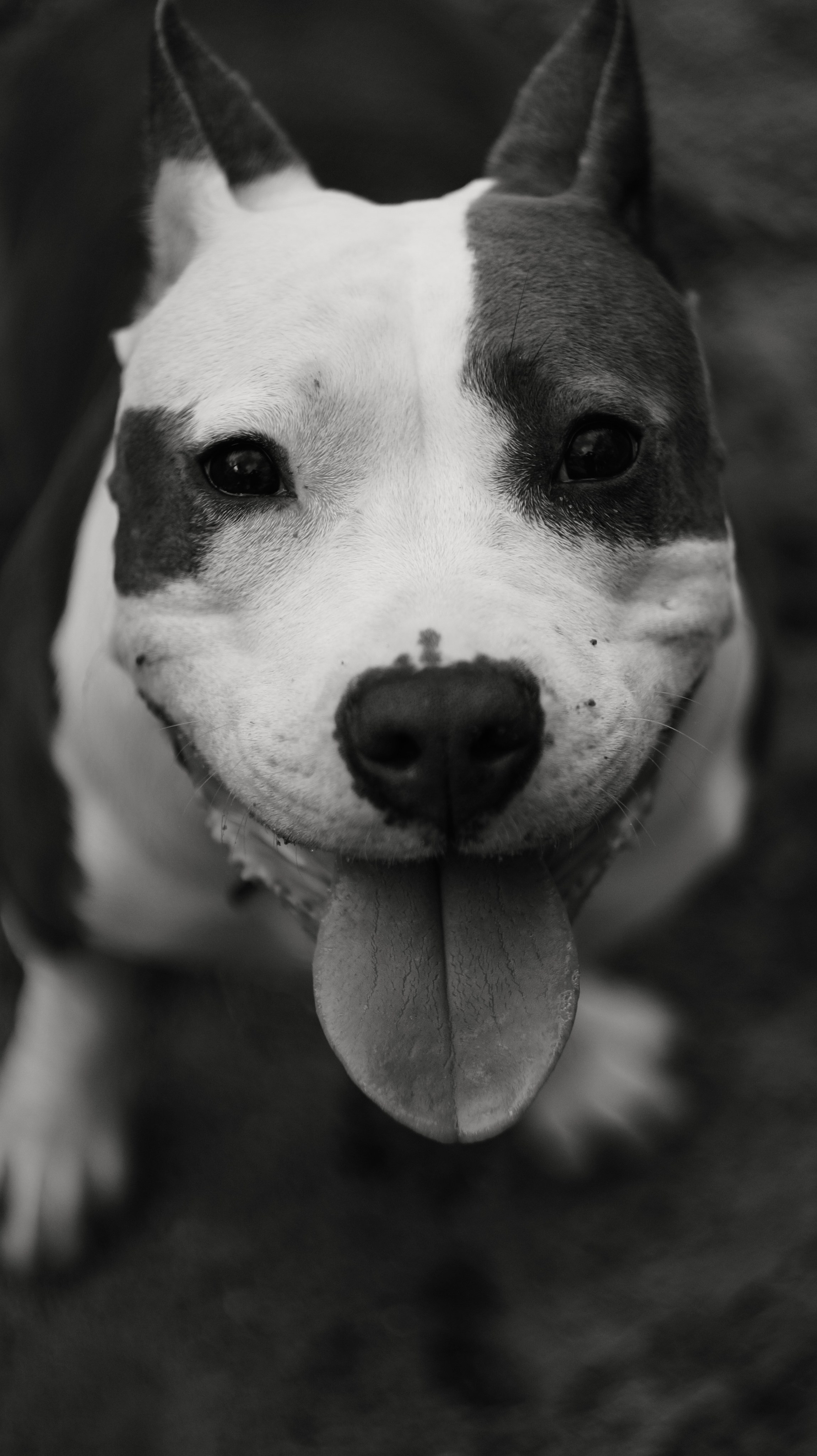 Луна. Профессиональный фотограф