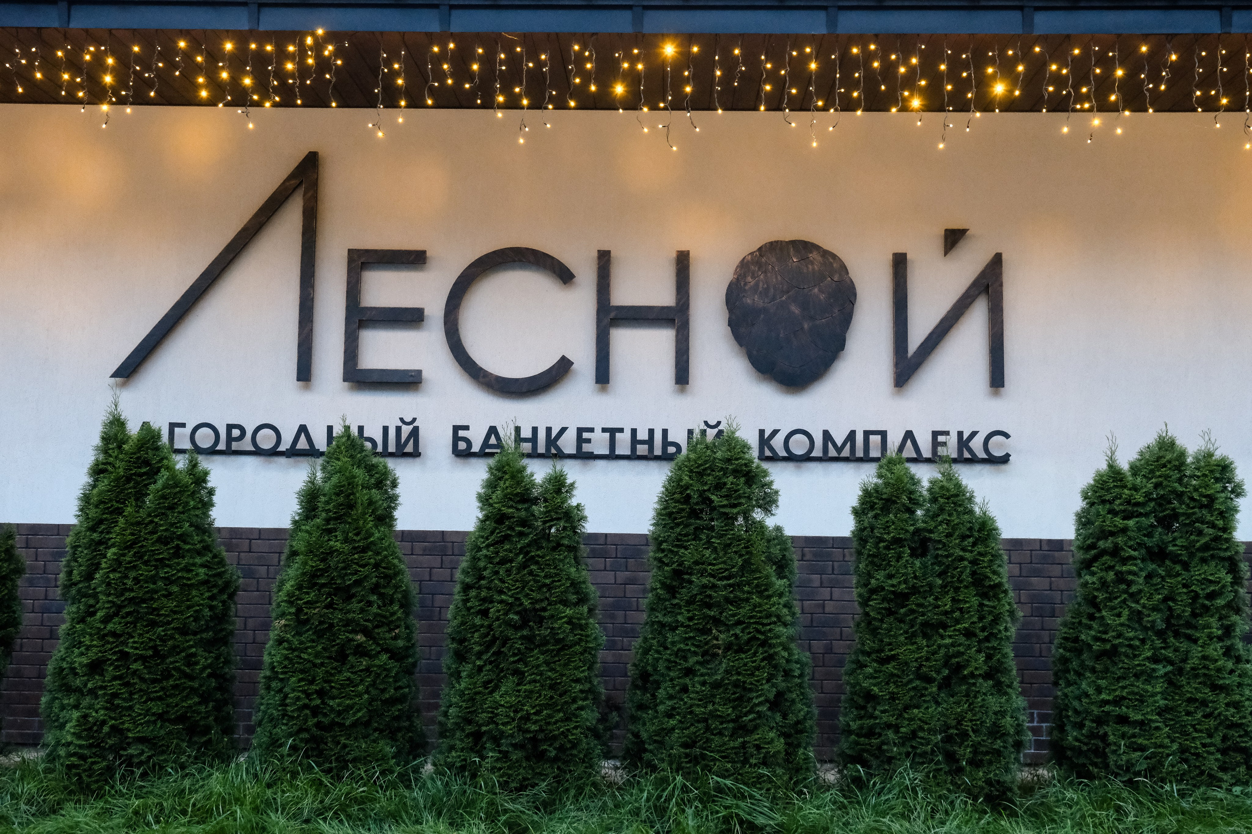 Свадьба Виталия и Кристины. Свадебный фотограф в Челябинске Сырчикова Наталья