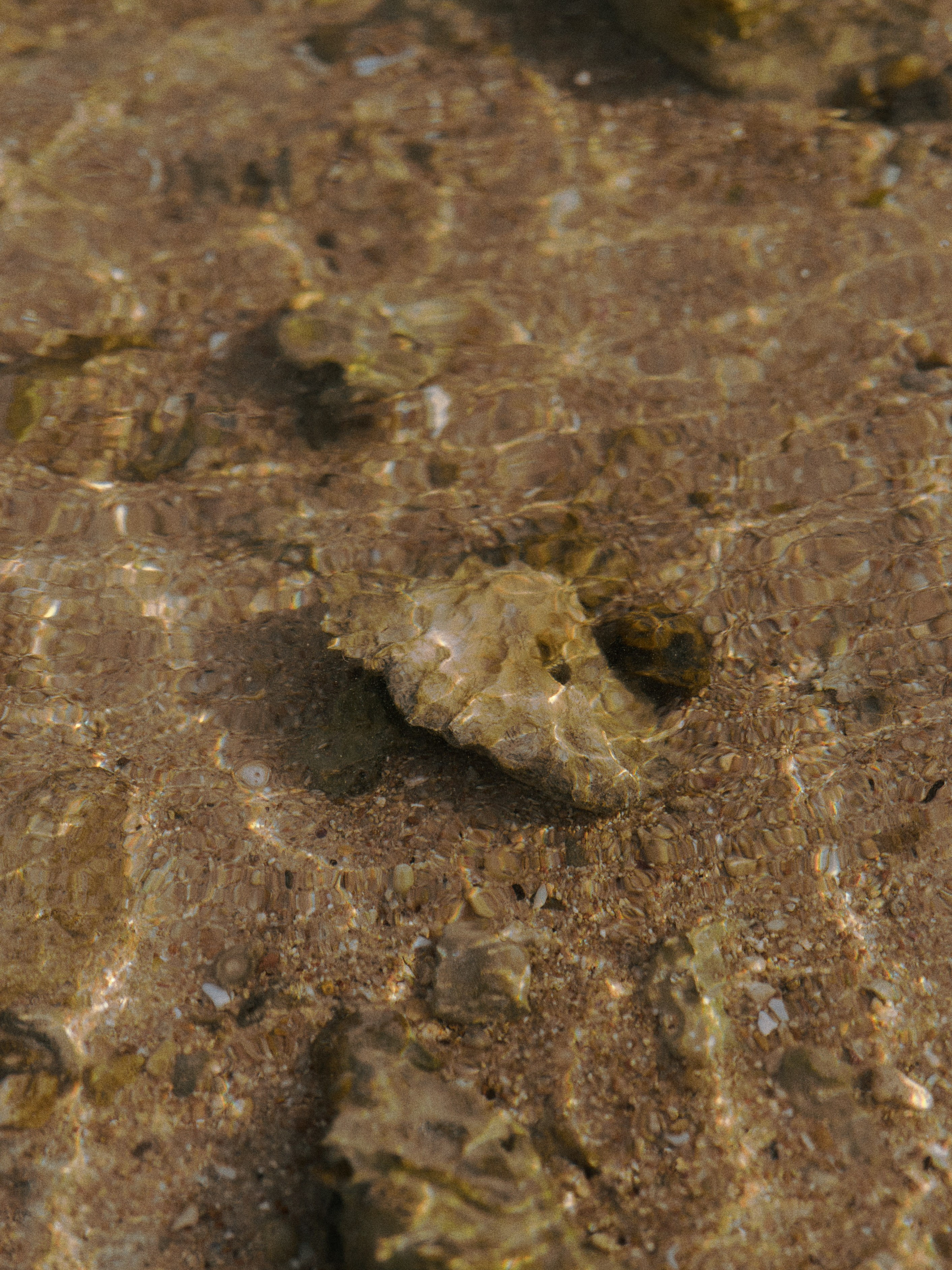 Другое. Jorgis Talè — photographer, kind person, teacher of arts and other mag