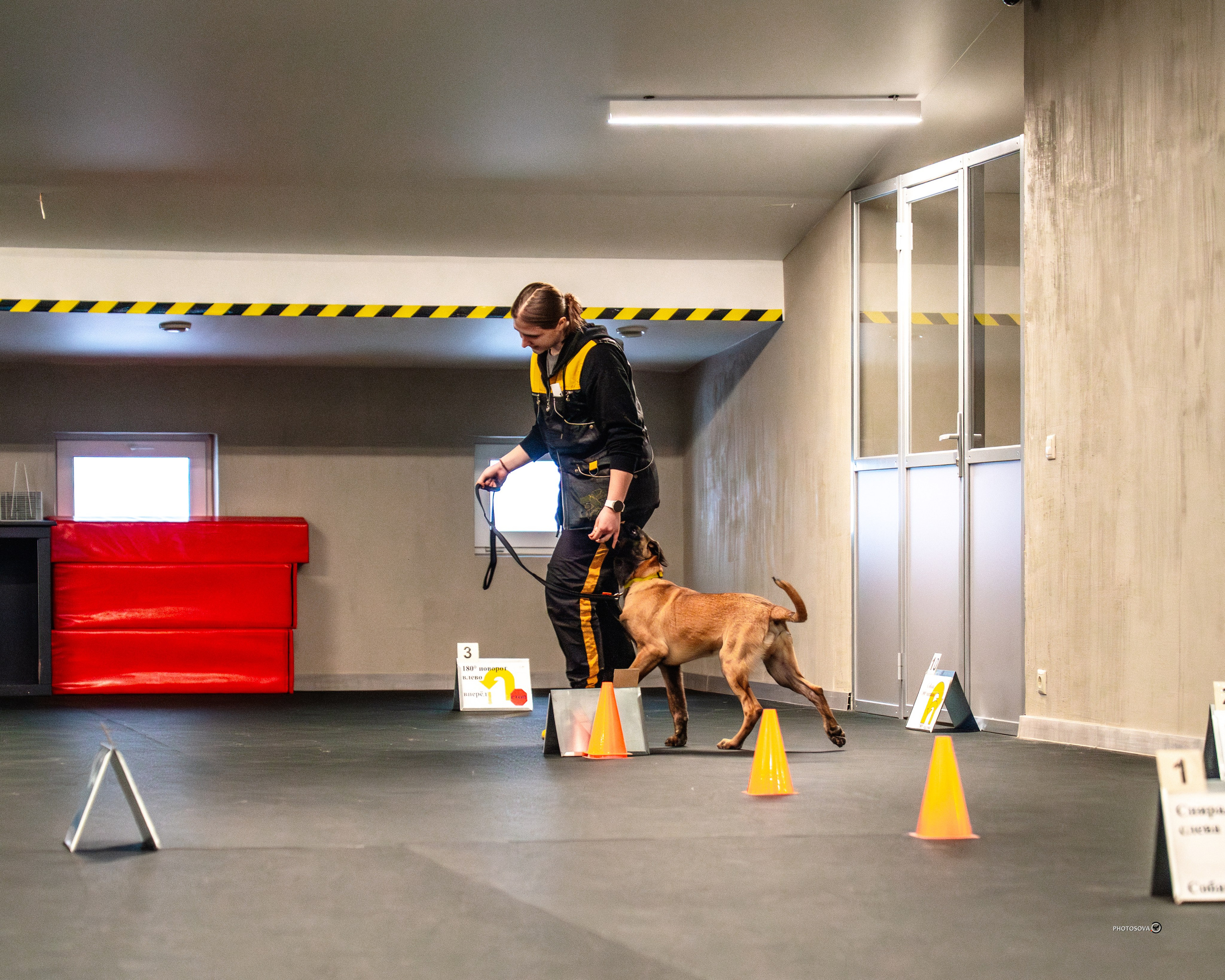 ТЫ И Я (соревнования по ралли-обидиенс). Фотограф-анималист, семейный фотограф в Москве и Подмосковье. Фотосъёмка кинологических дисциплин