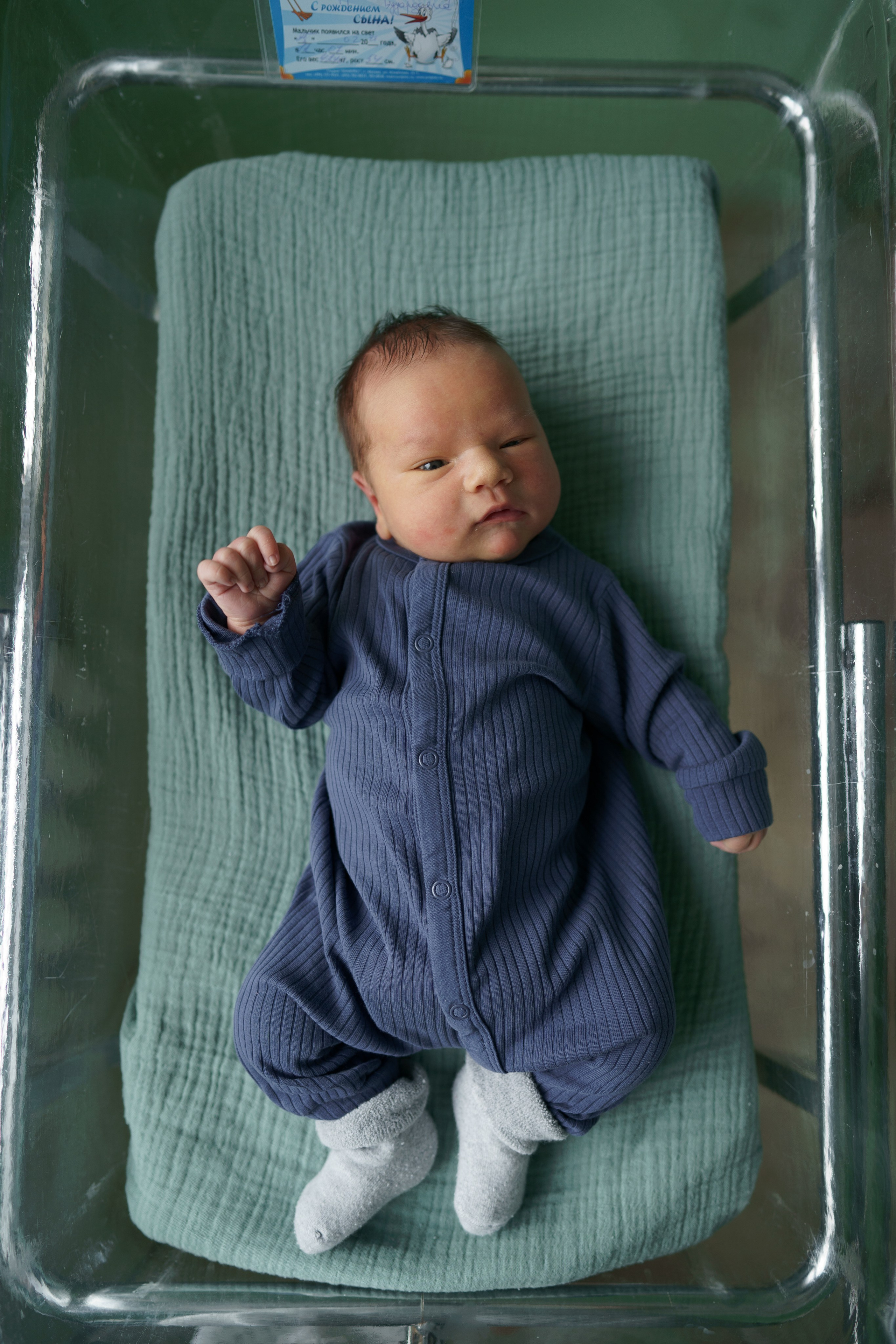Фаддей в роддоме. Семейный и детский фотограф Москва Дарья Бугра