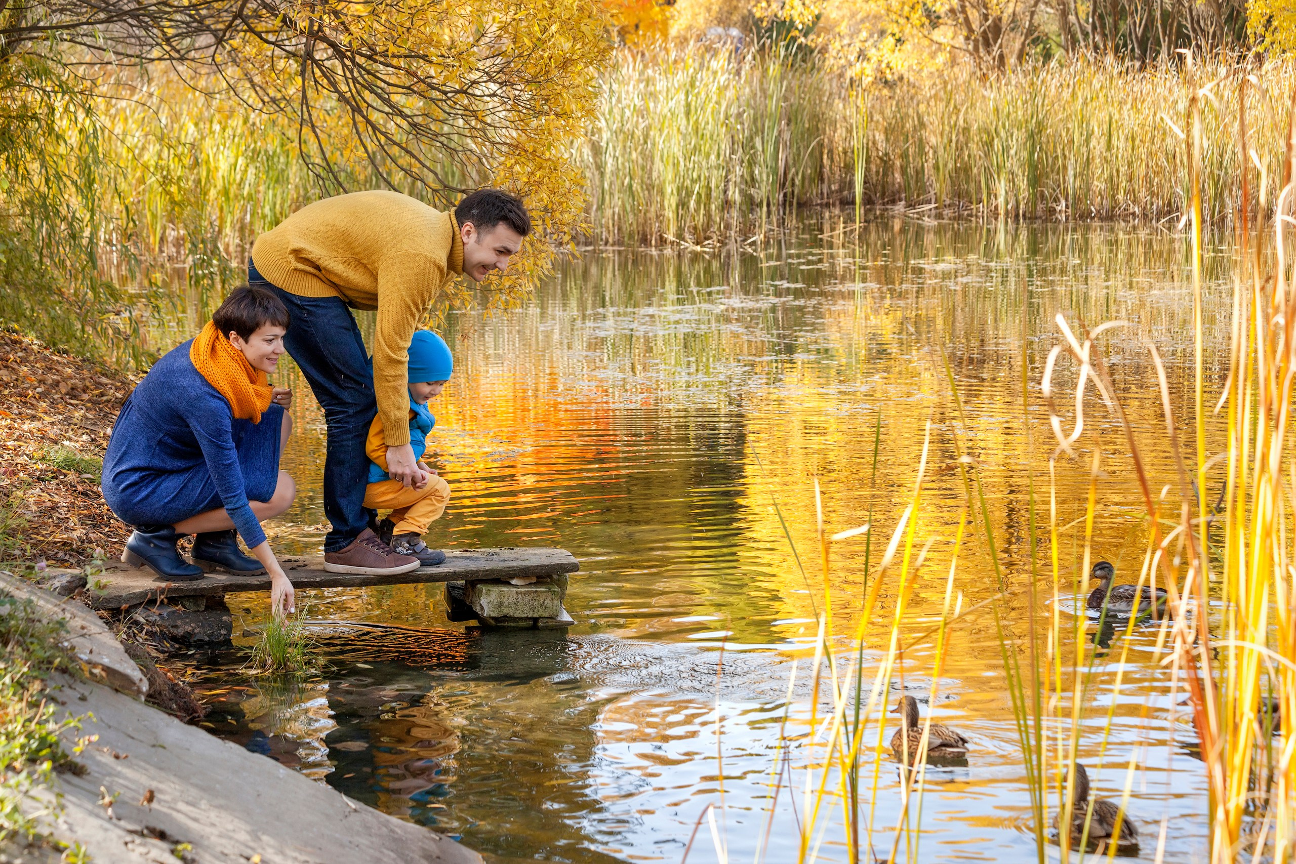 Чем занять ребенка в дендрарии - фотограф в Ульяновске