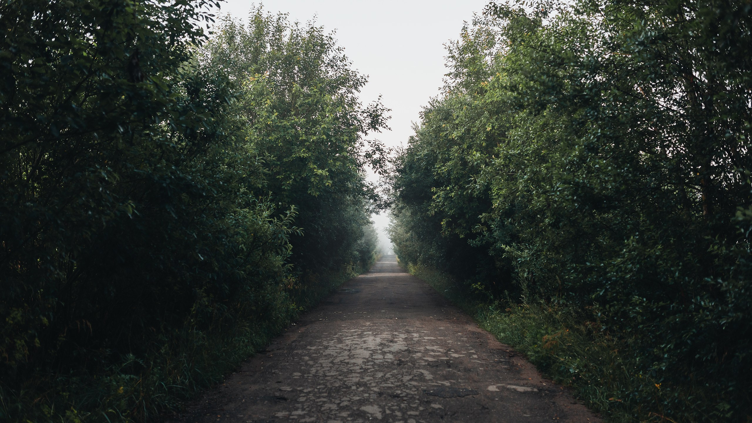 Невидимый спектр. Komonev