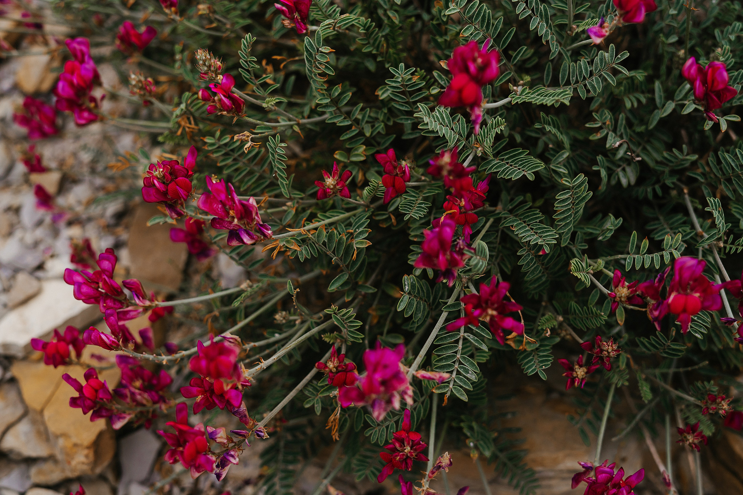 Море. Свадебный и семейный фотограф/видеограф в Краснодаре Наталья Осинская