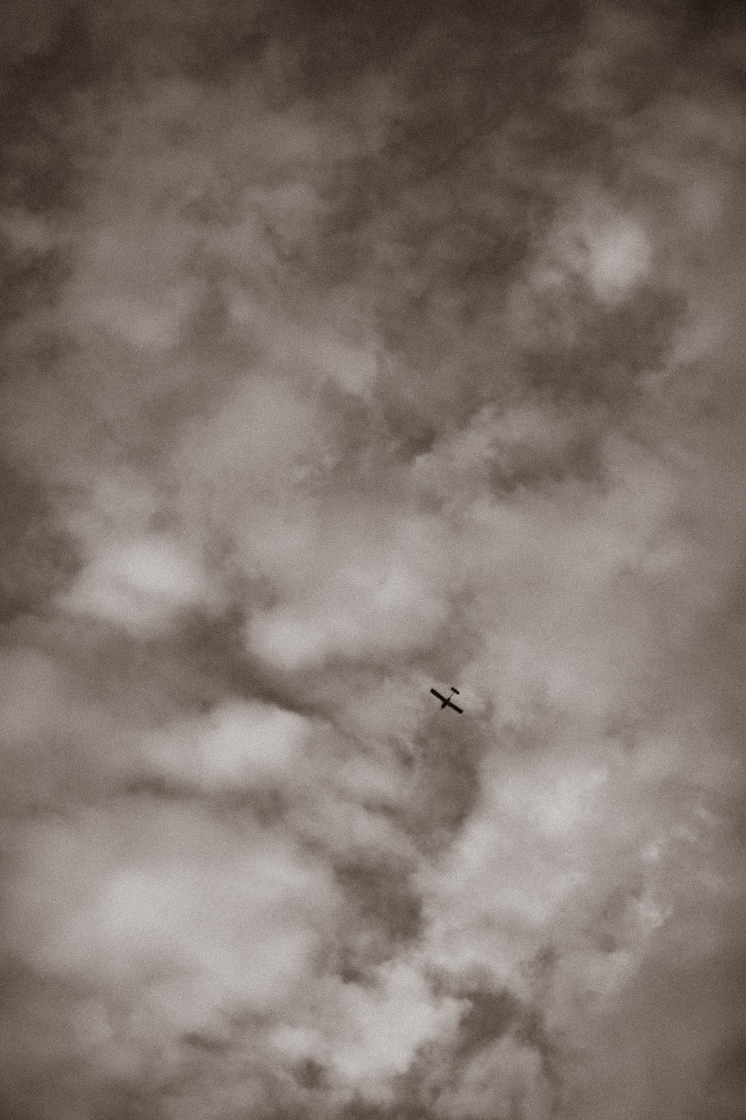 24/09/23. Фотограф НатаФото (Наталья Яковенко) Дмитров Москва Питер