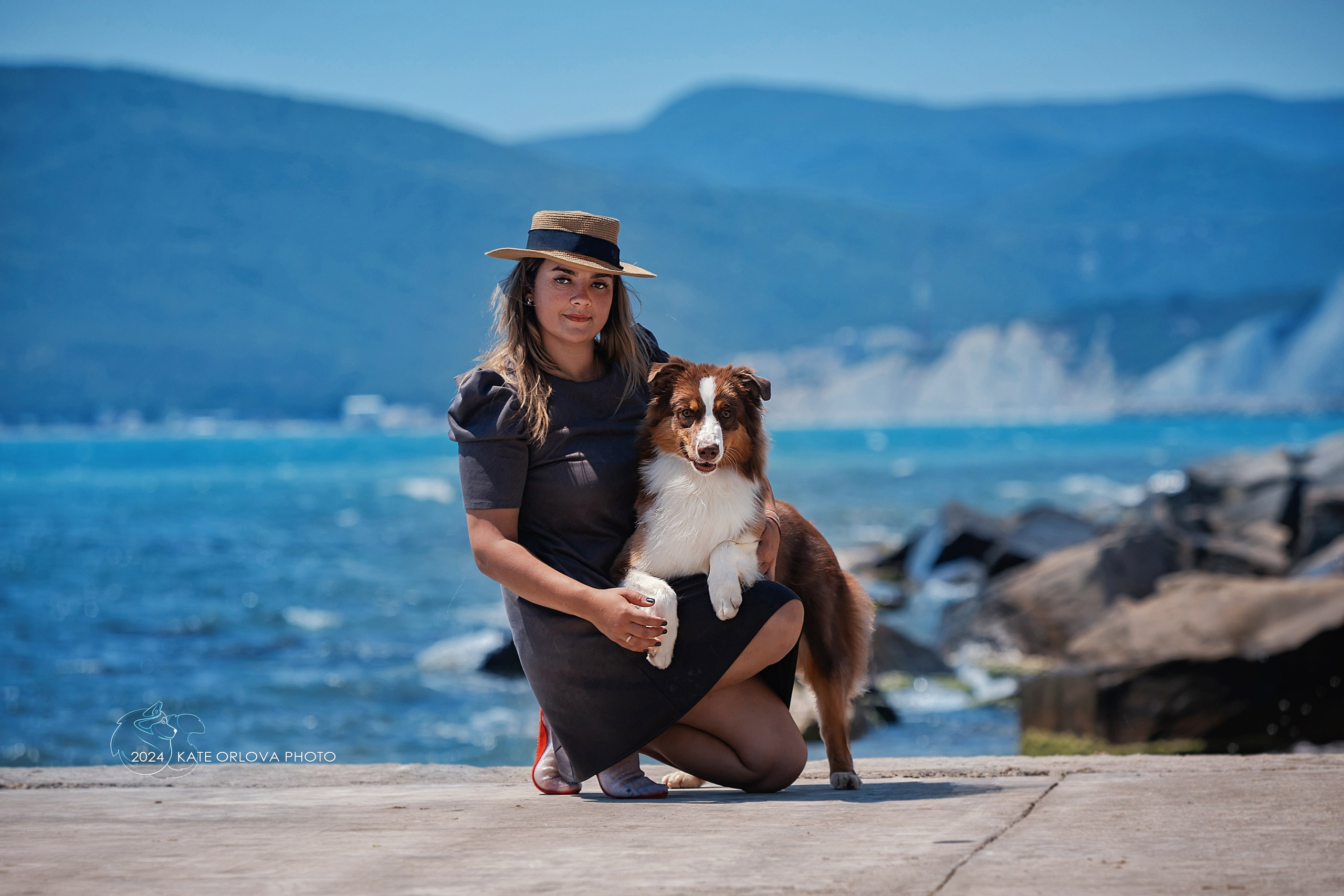 Фотосъемка собак, щенков, на выставках, фотограф анималист Россия воронеж. Питомник собак Акита, Хаски, Корги