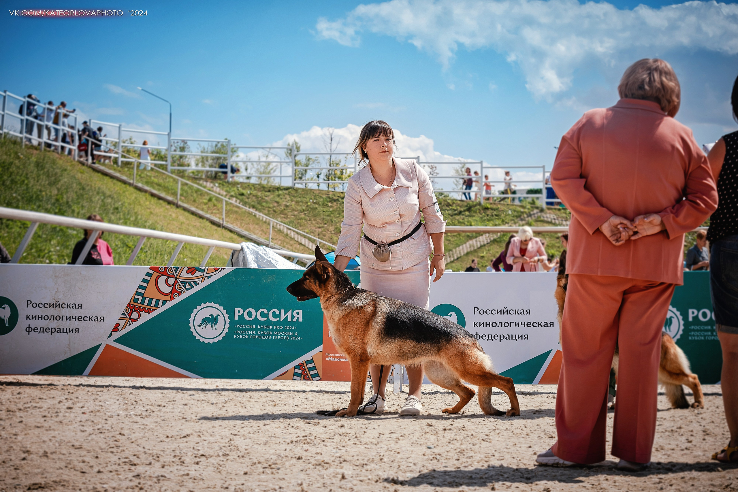 Фотосъемка собак, щенков, на выставках, фотограф анималист Россия воронеж. Питомник собак Акита, Хаски, Корги