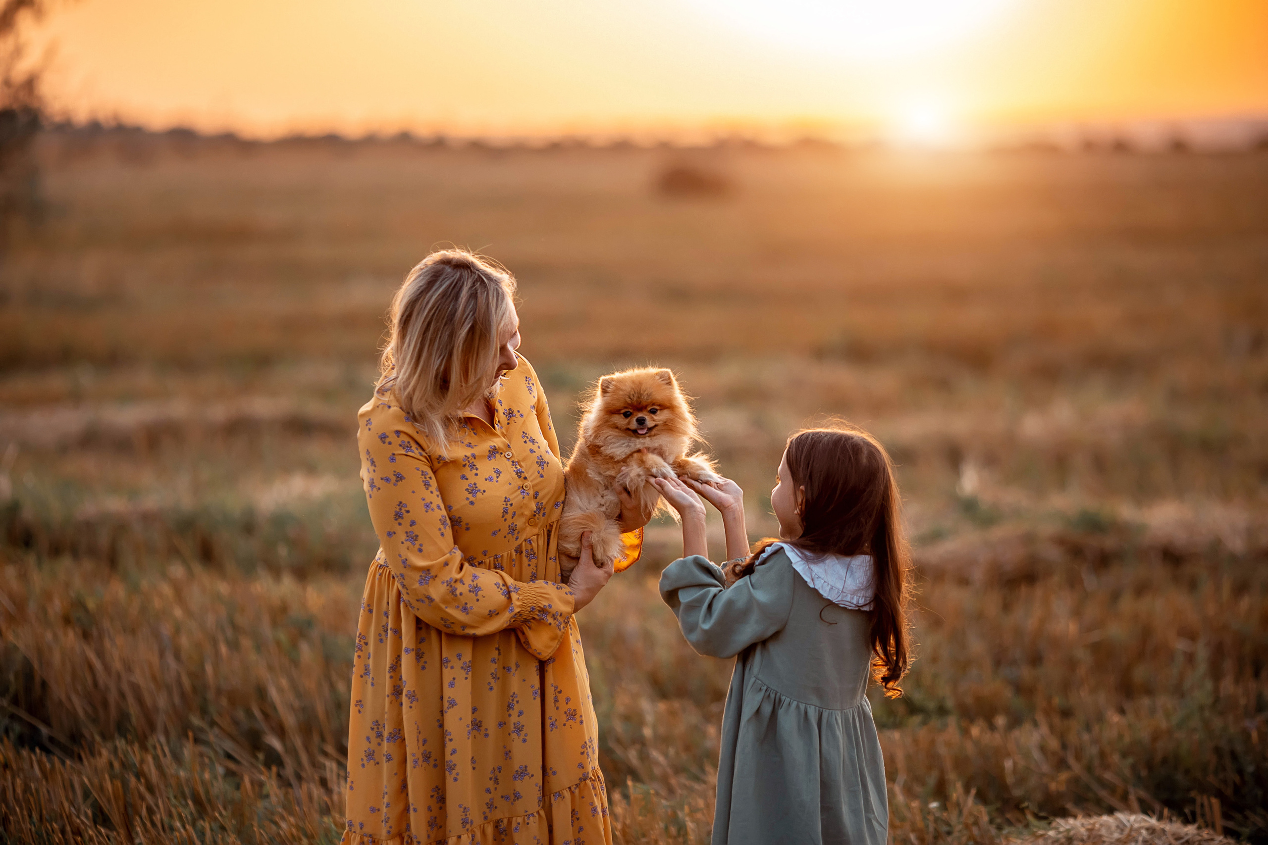 Семейная фотосессия. Семейный и детский фотограф в Саратове Юлия Клим