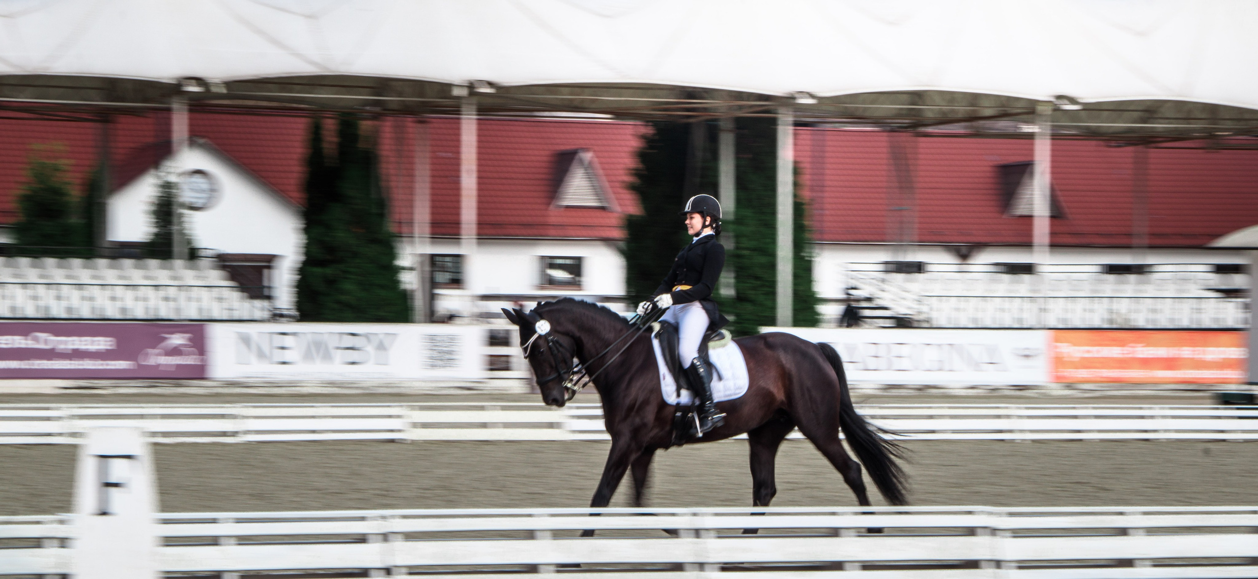 Animals. Фотограф/Видеограф