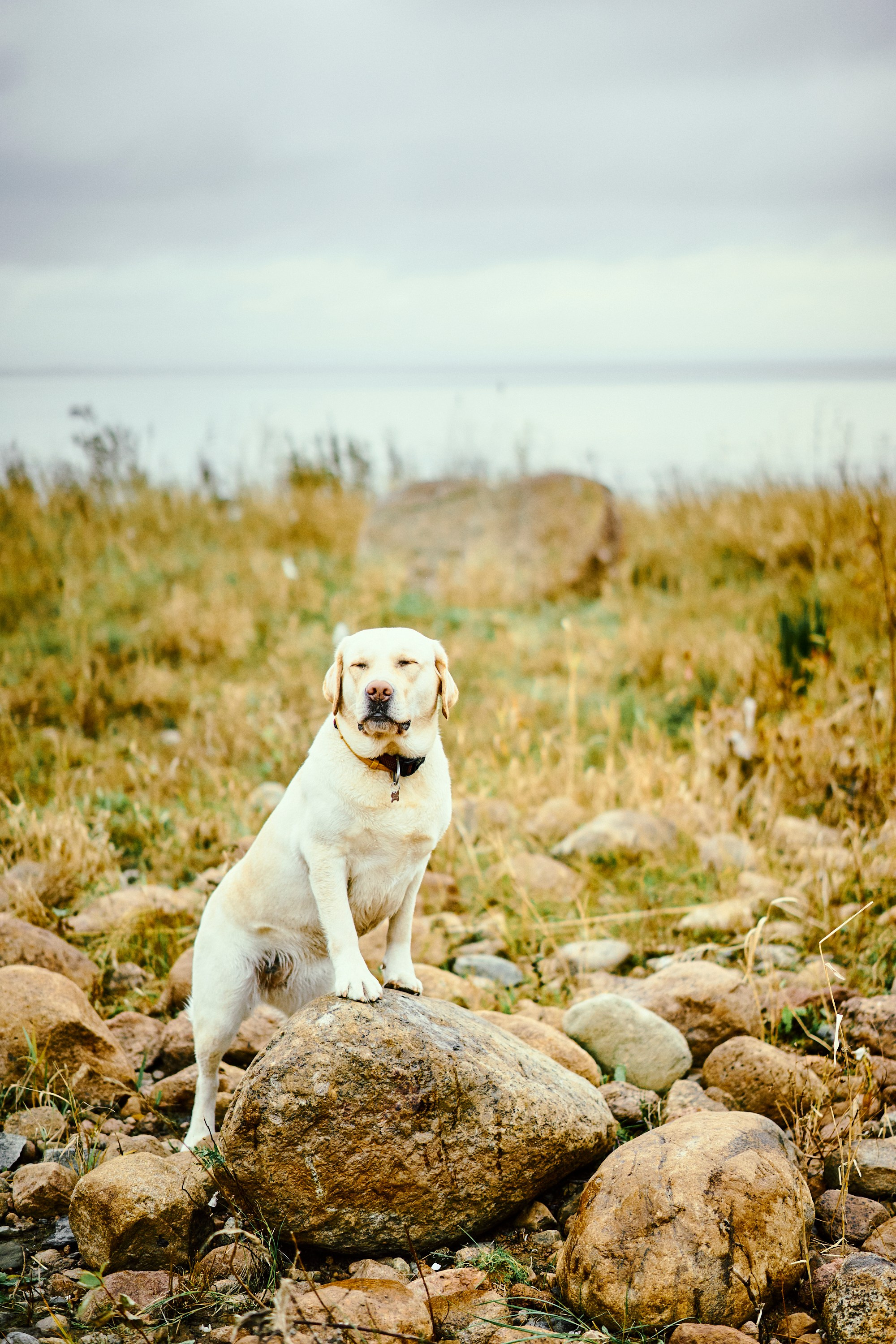 Bell and Black. Vutitsa
