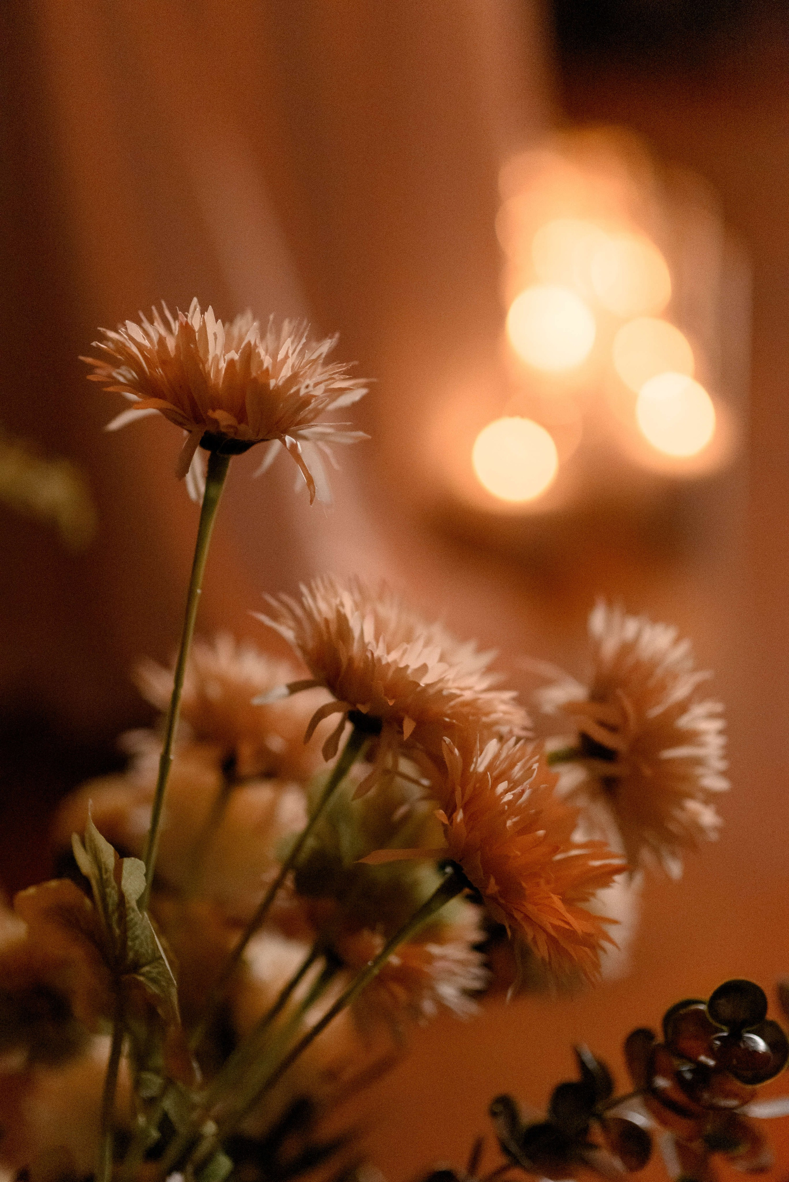 L&O. Свадебный фотограф Минск