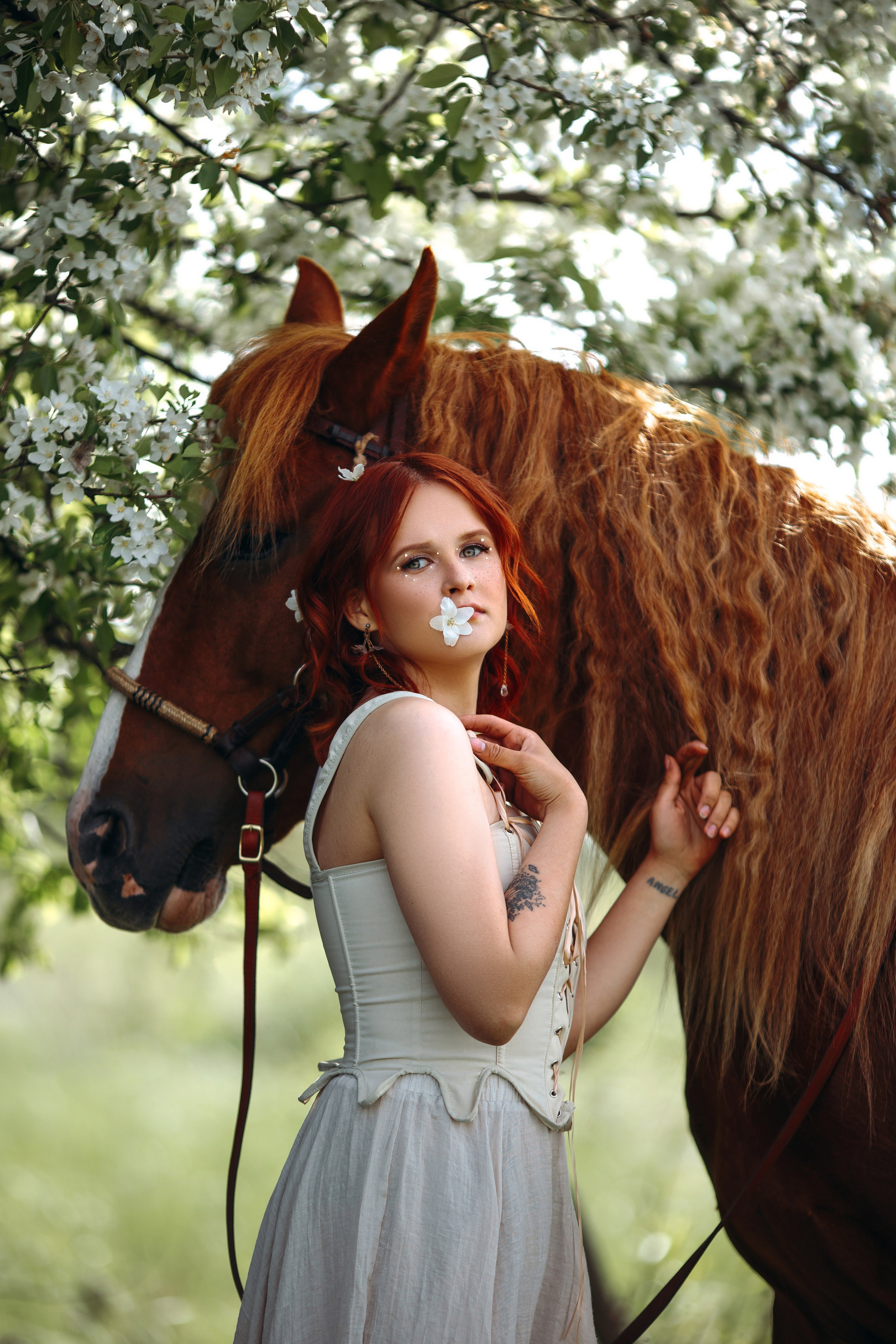 Весенние цветения. Анна Молчанова конный фотограф в Тюмени | фотосессии с лошадьми Тюмень